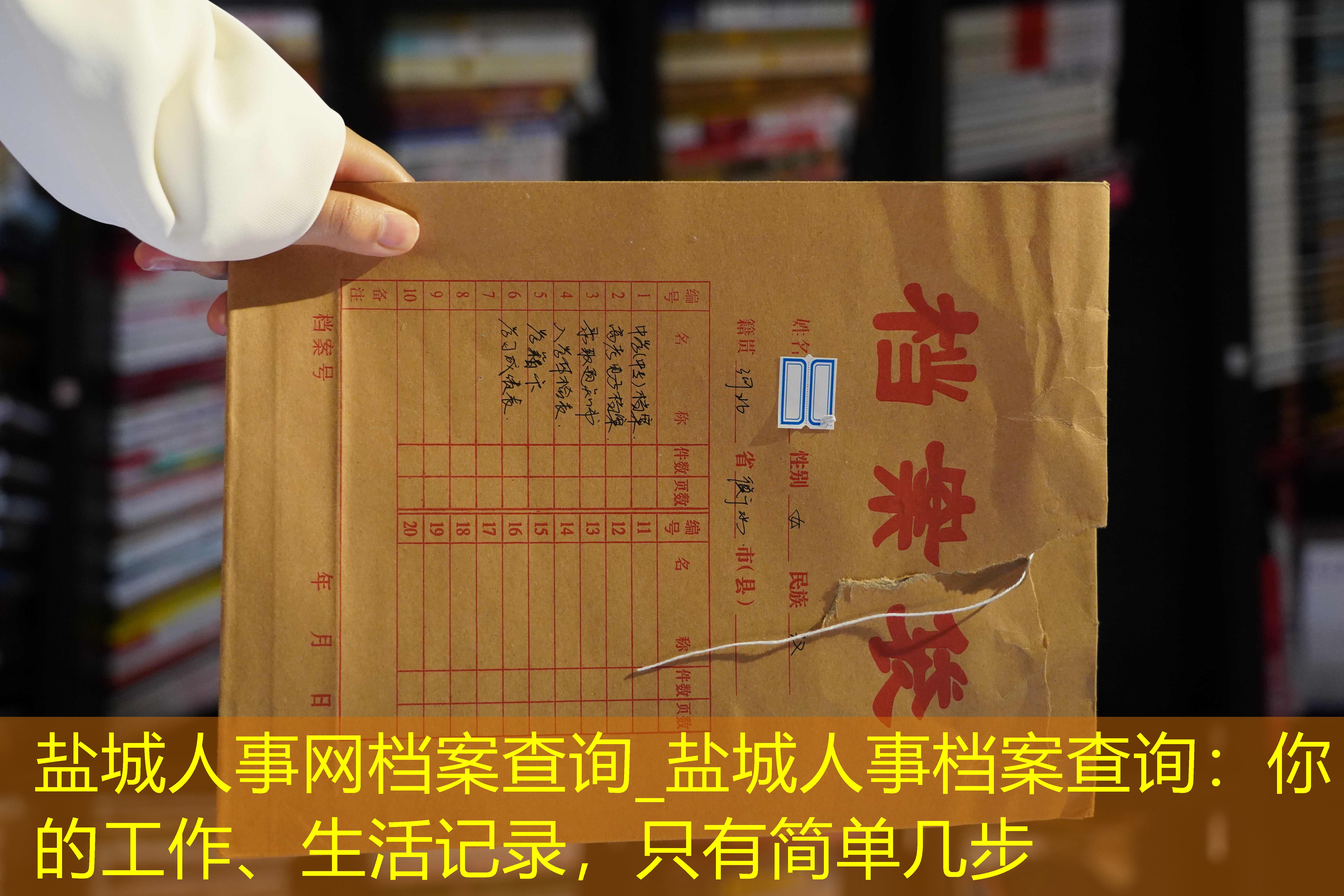 档案查询