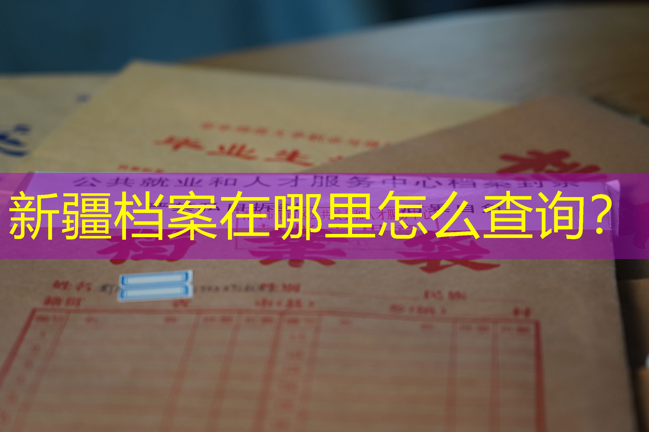 档案查询