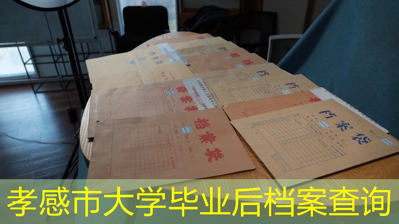 档案查询