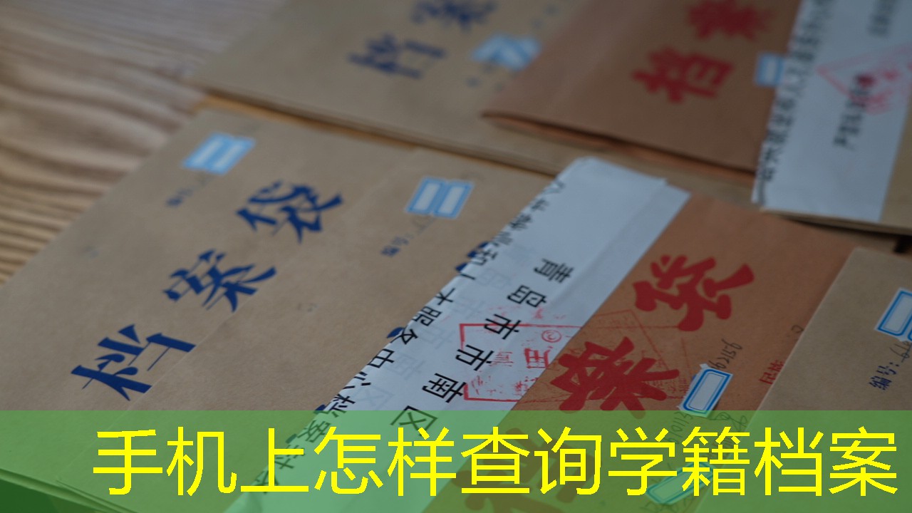 档案查询