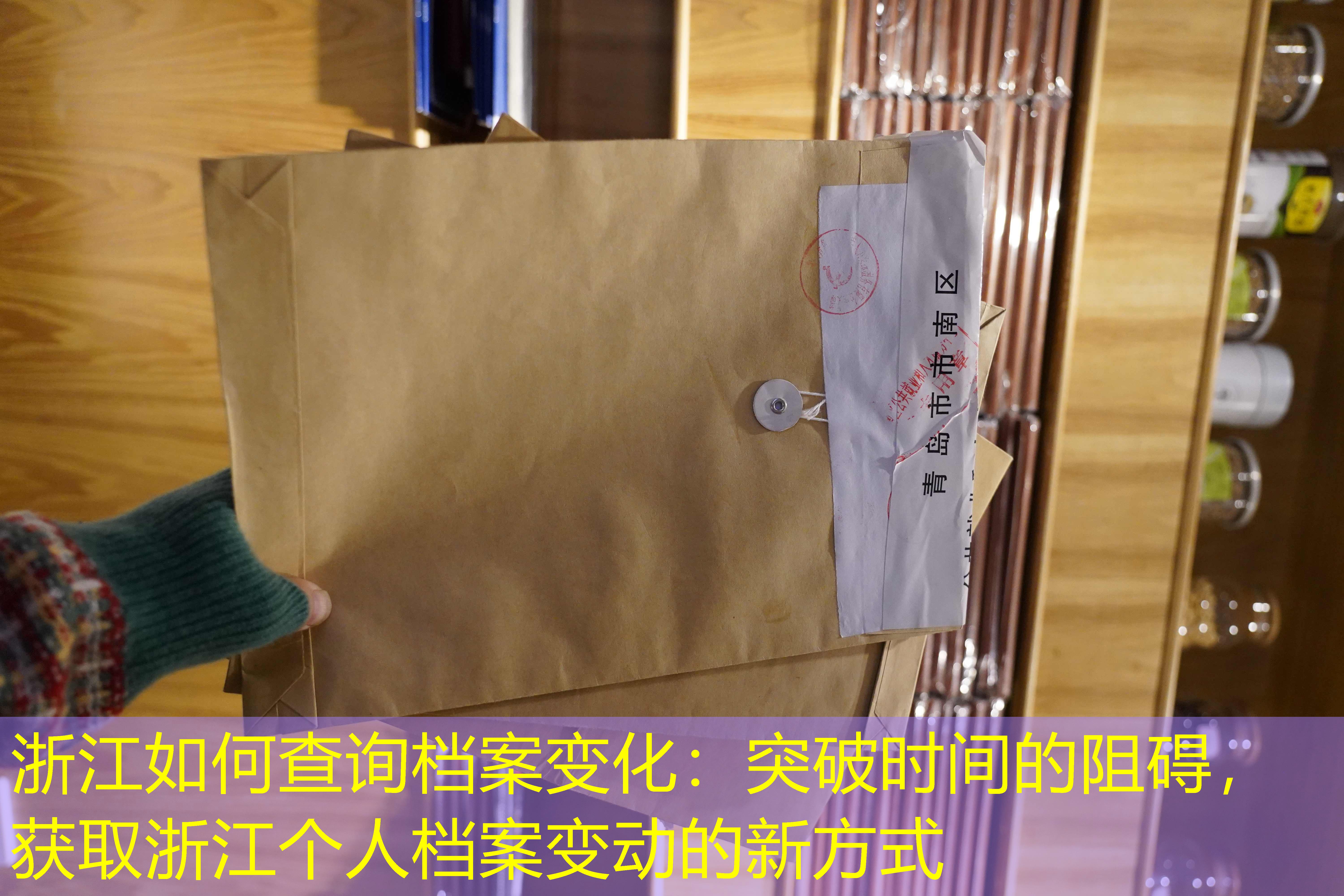 档案查询