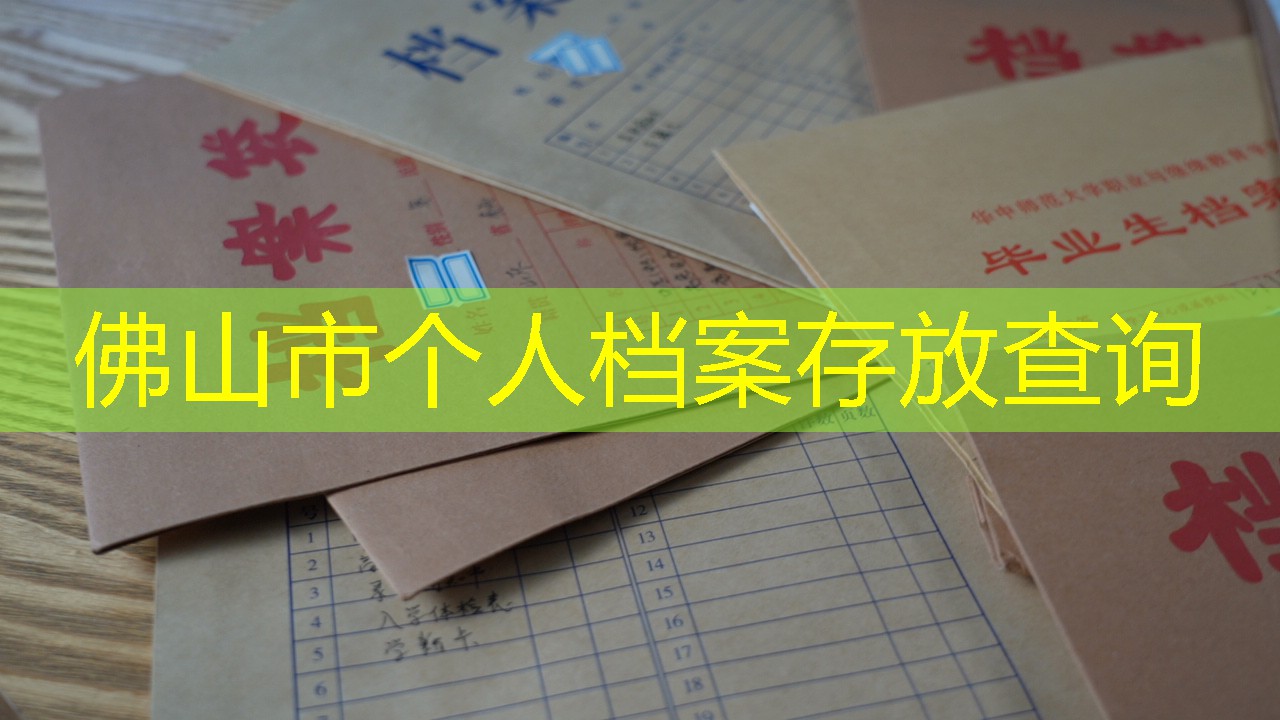 档案查询