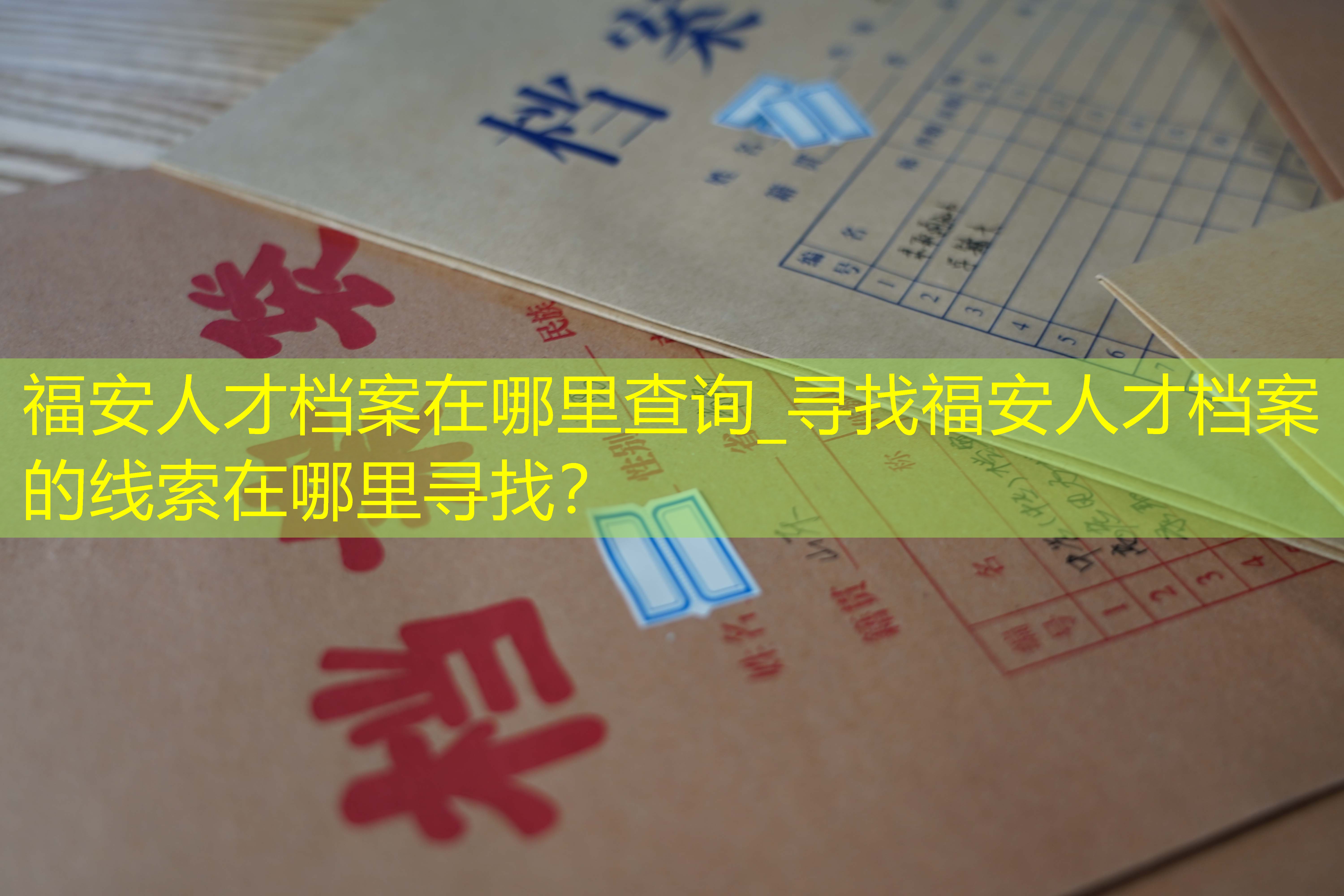 档案查询