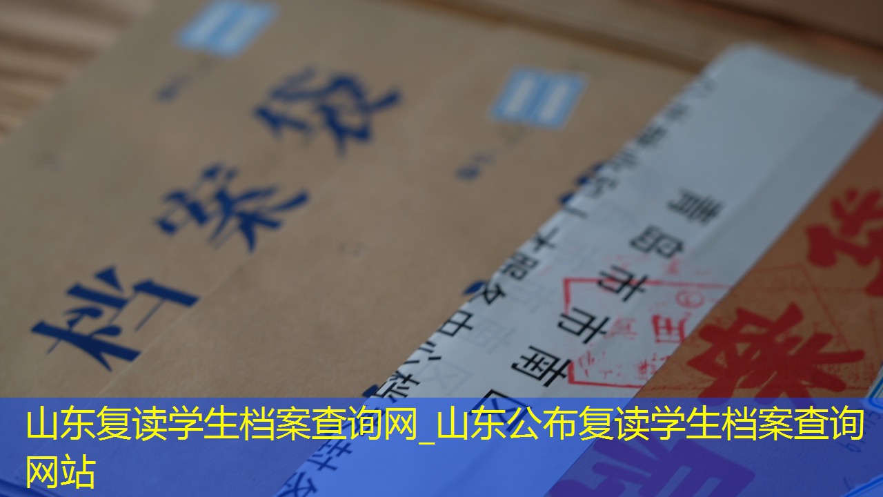 档案查询