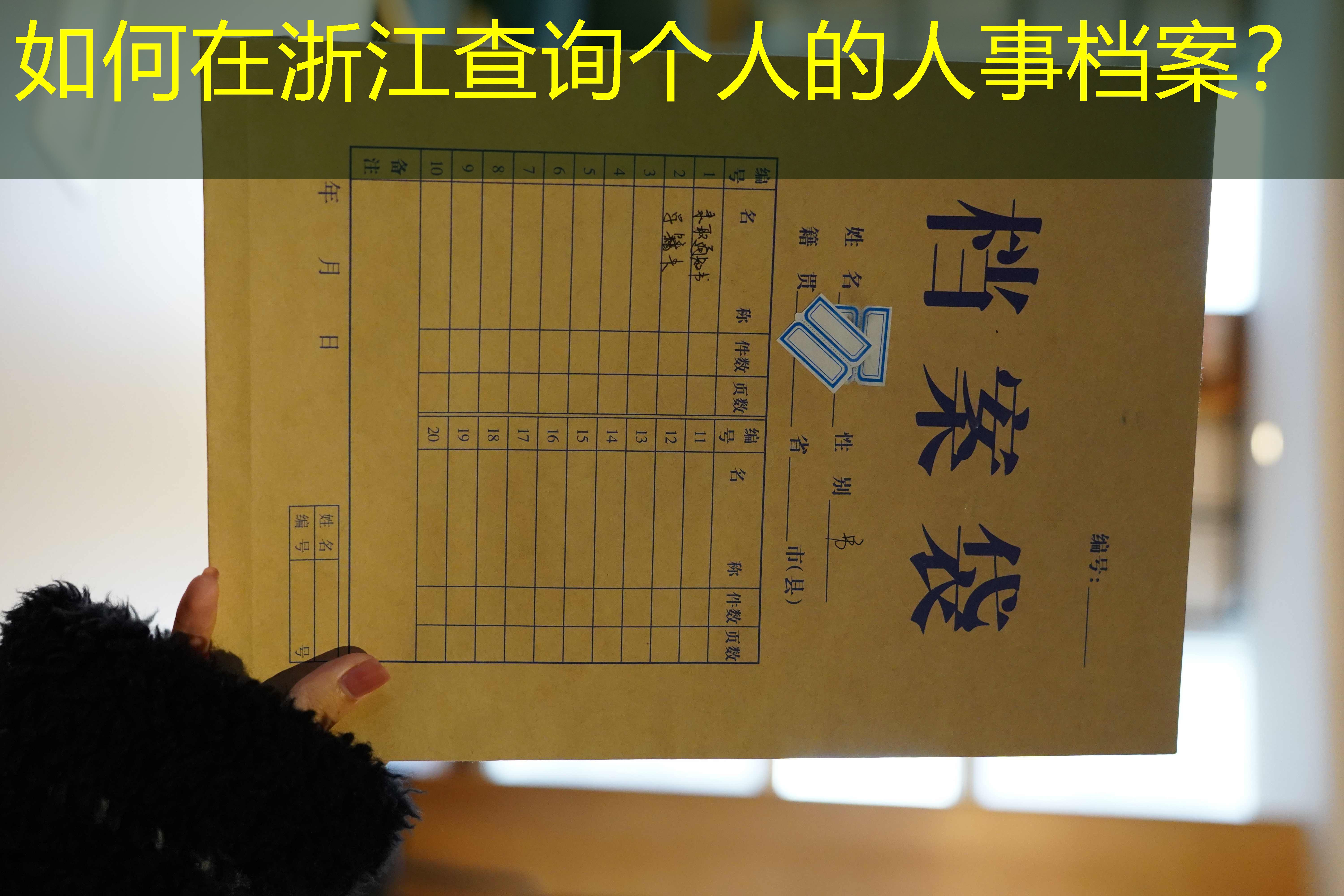 档案查询