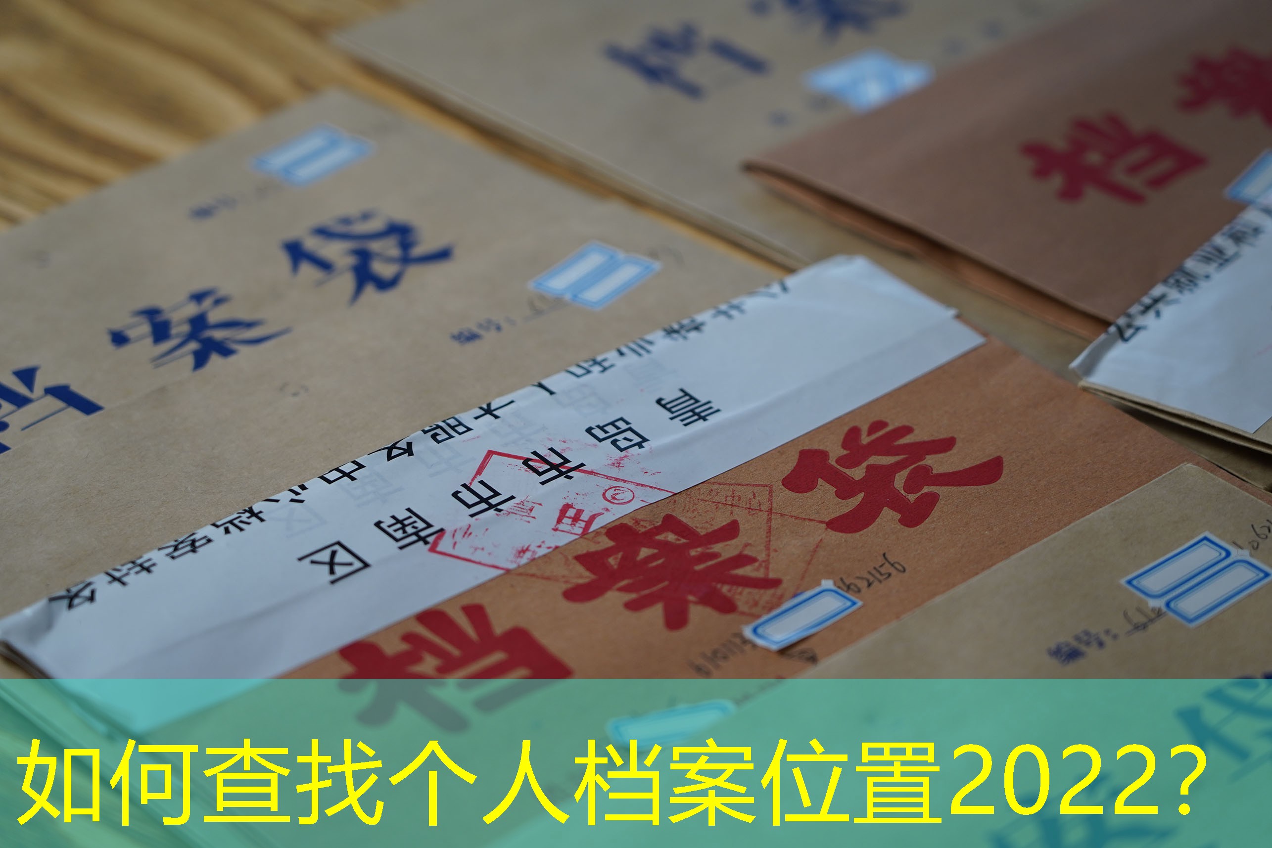 档案查询