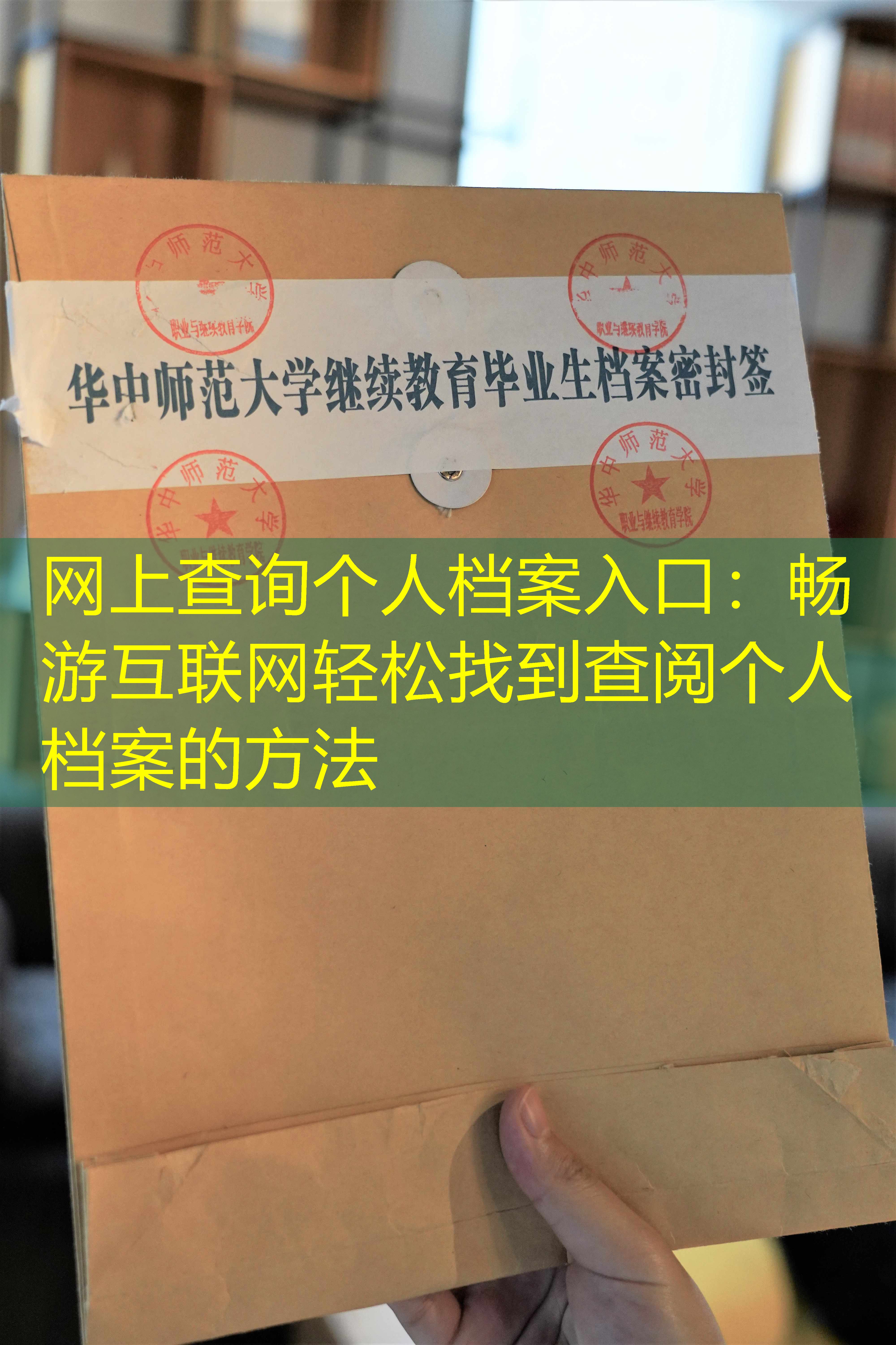 档案查询