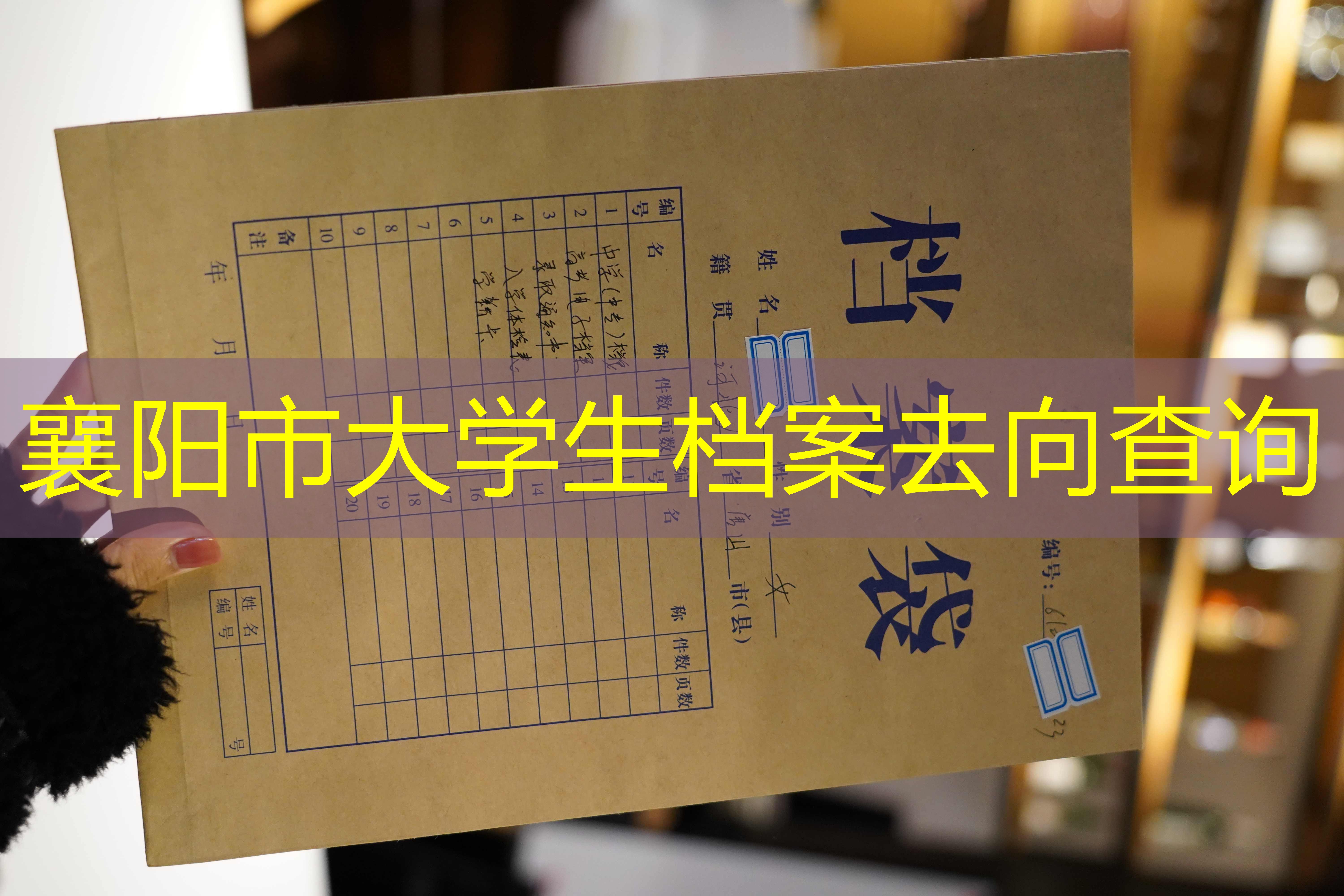 档案查询