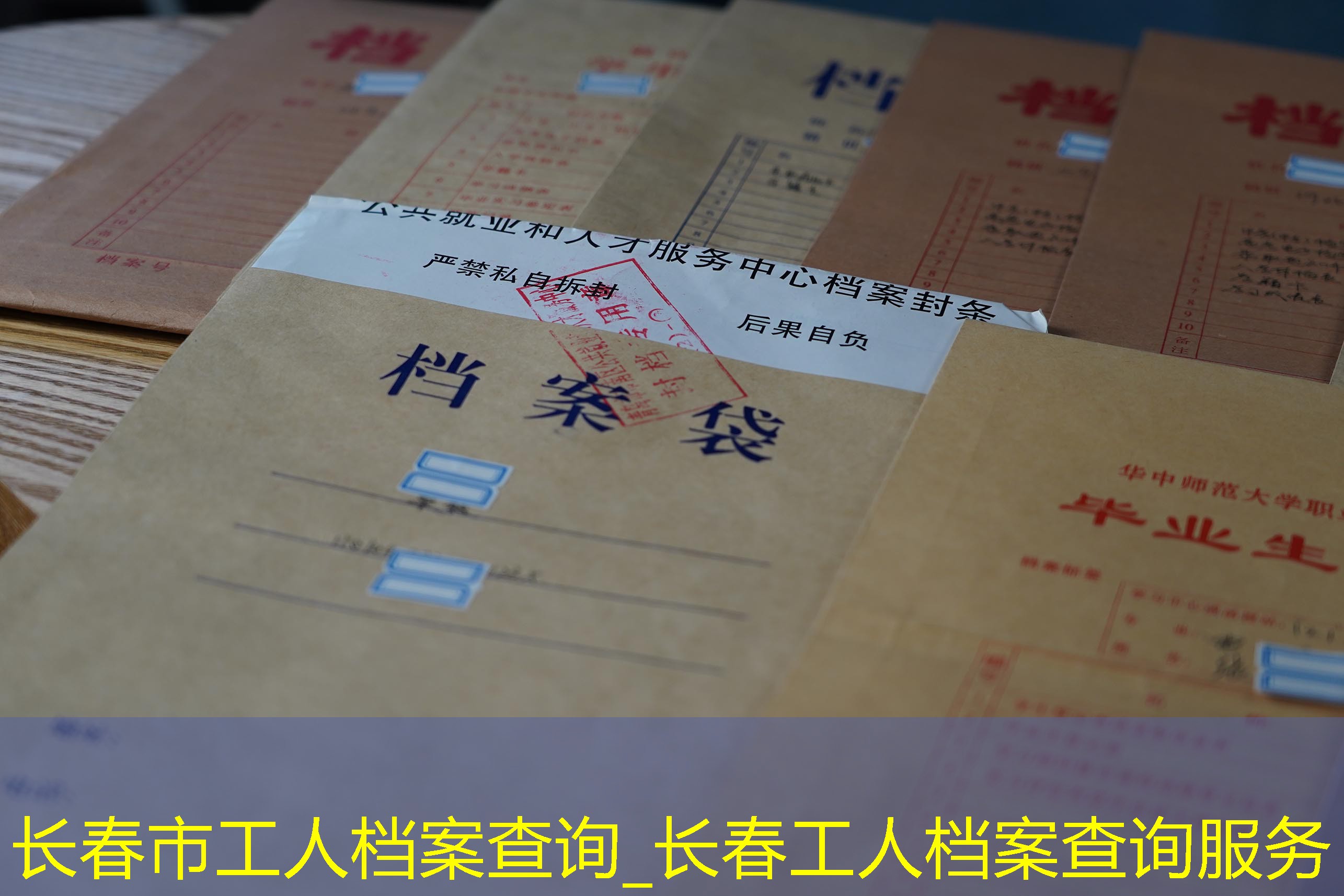 档案查询