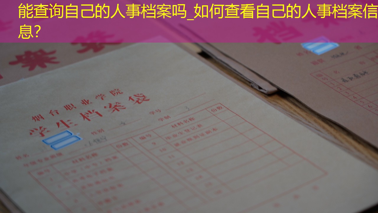 档案查询