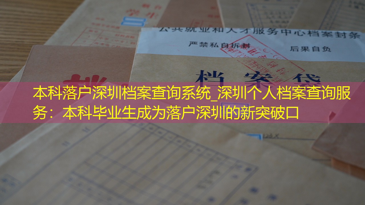 档案查询