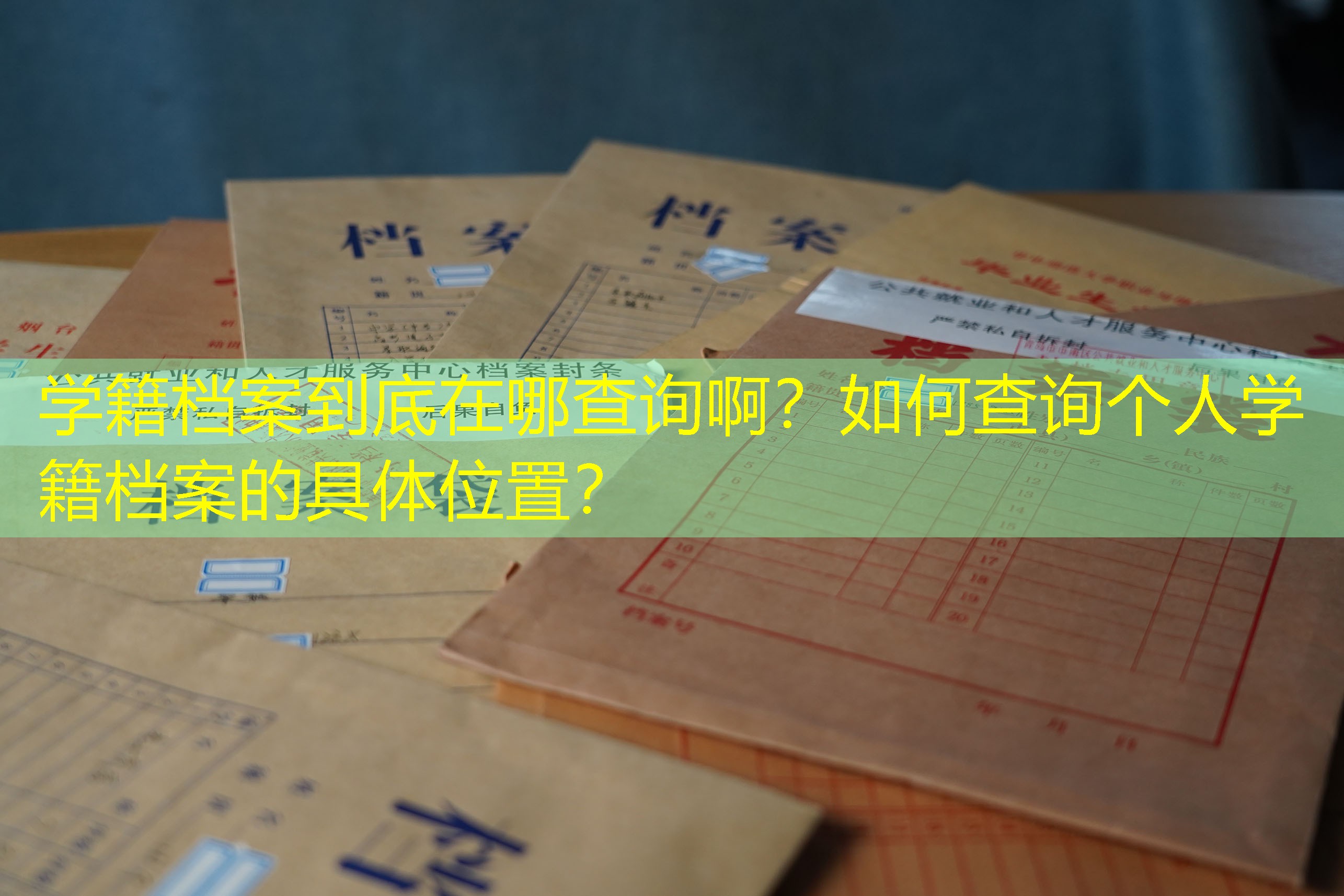 档案查询