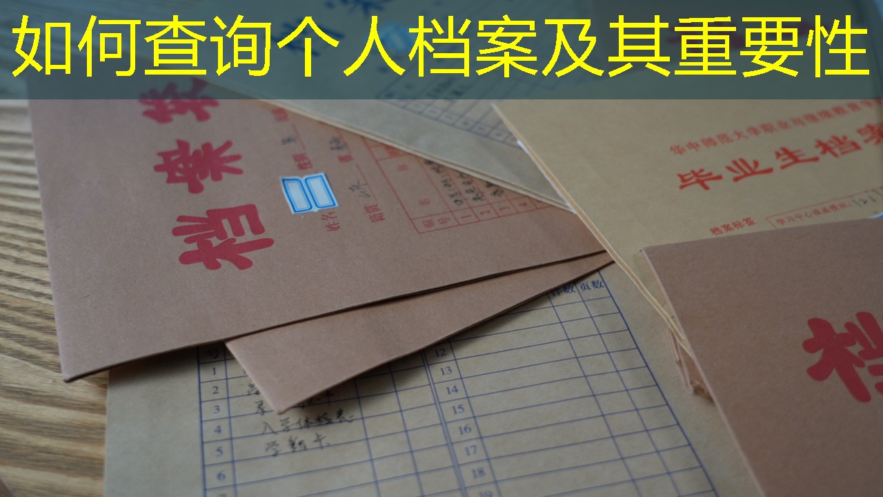 档案查询