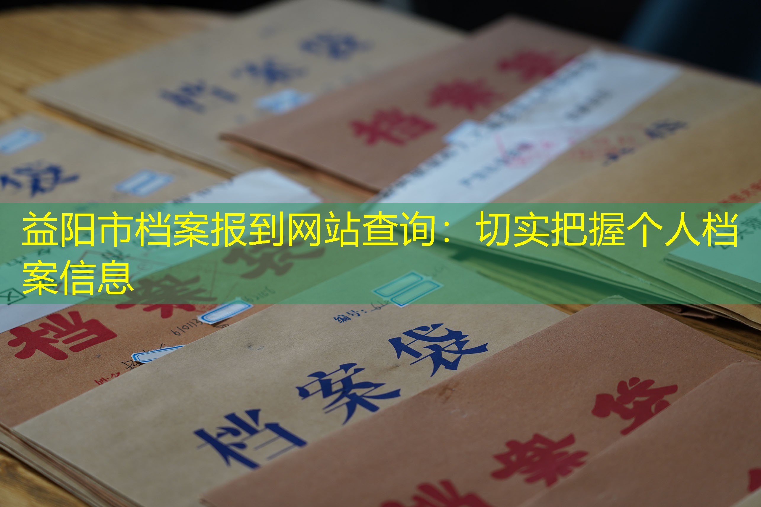 档案查询