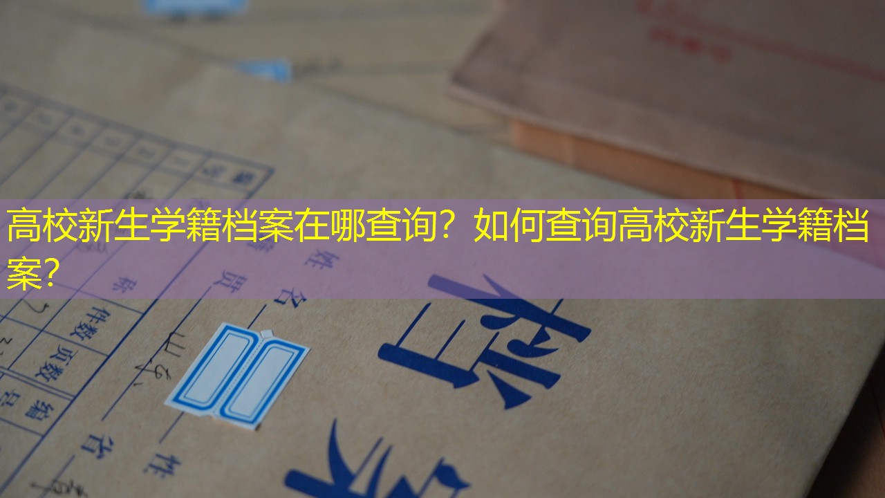 档案查询