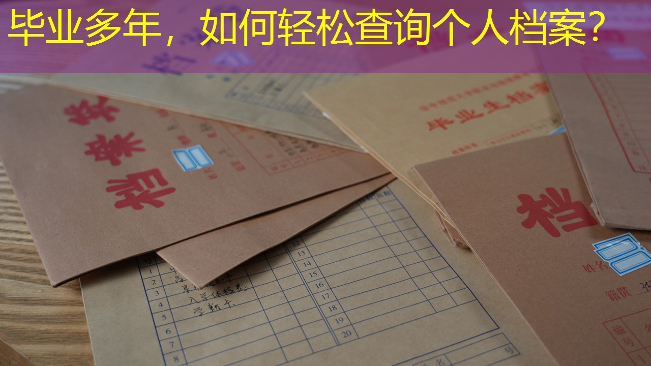 档案查询