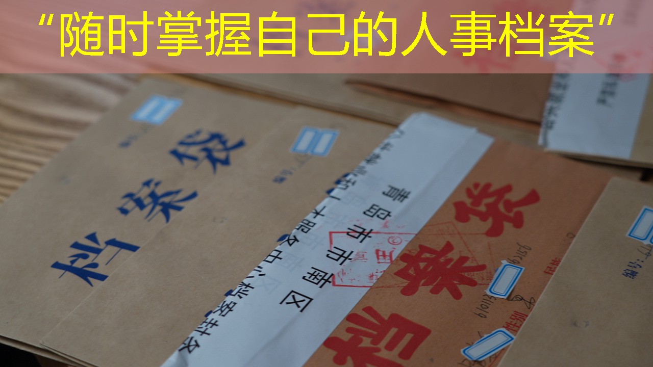 档案查询