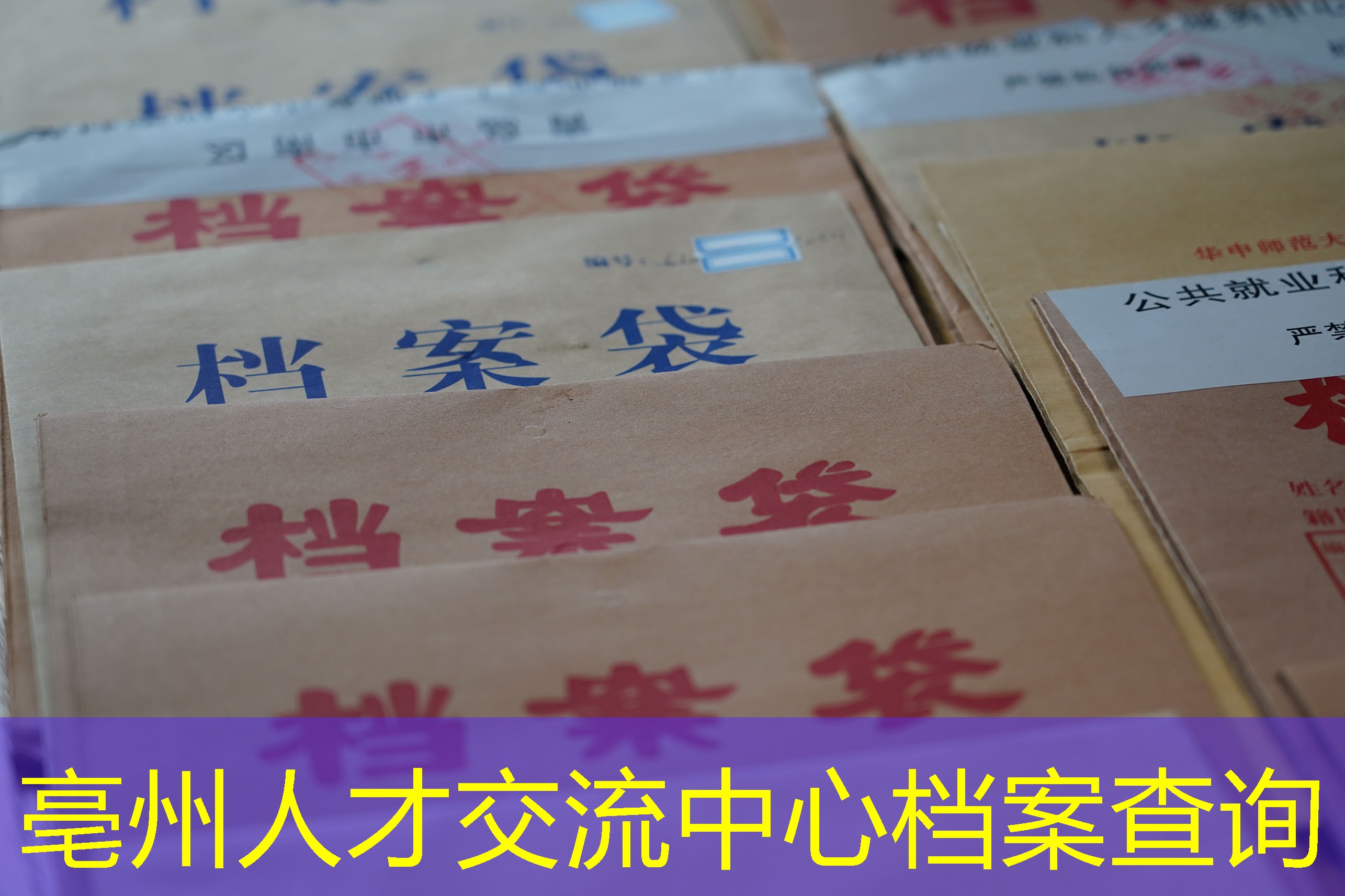档案查询