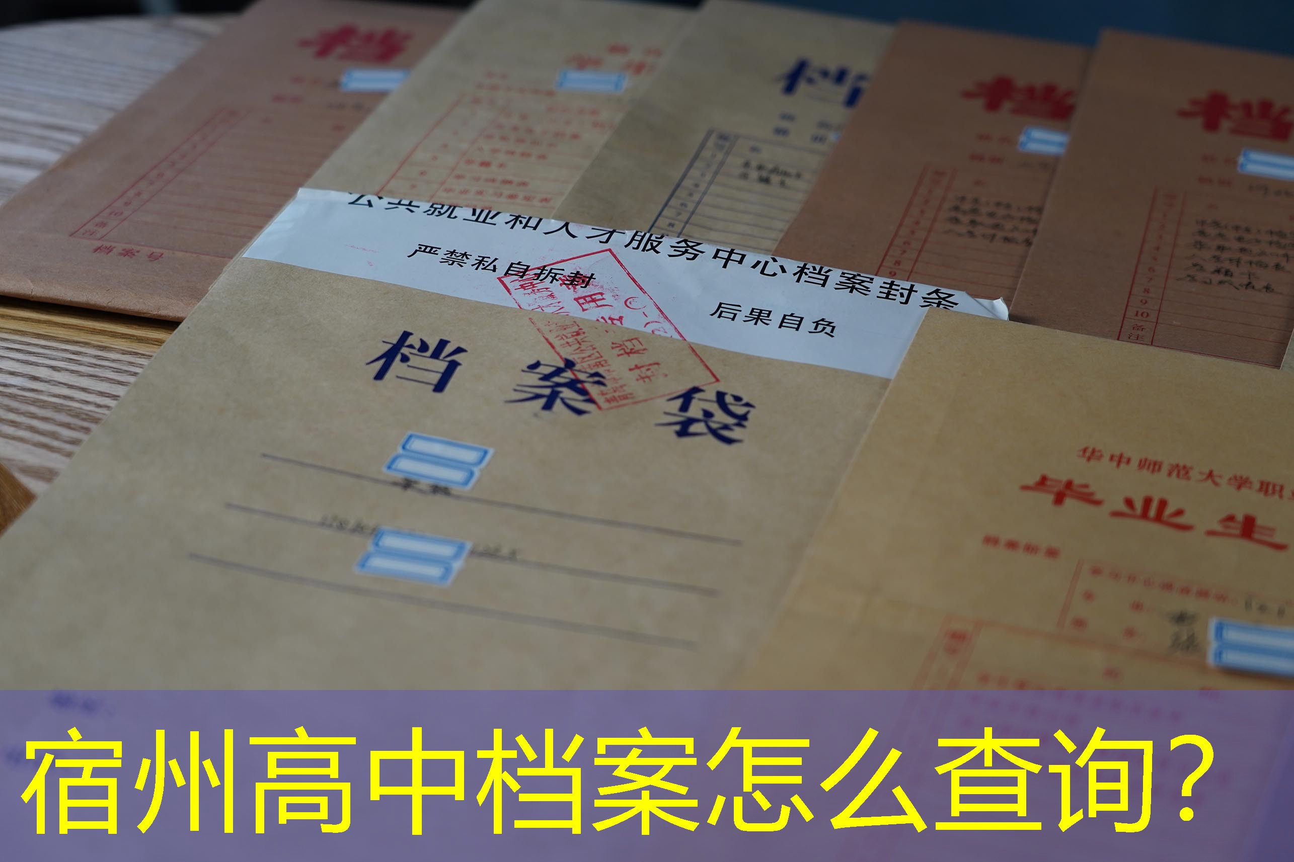 档案查询