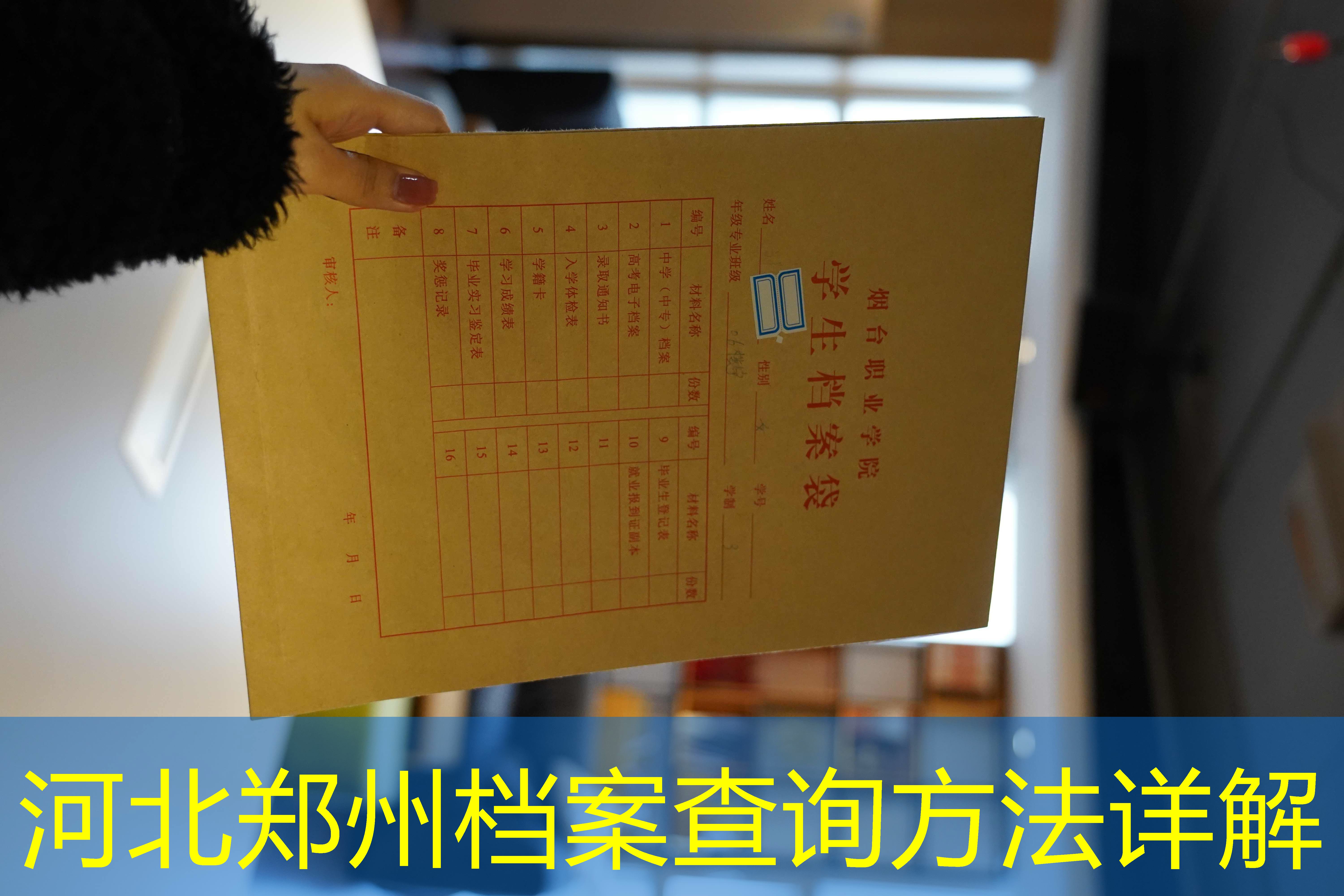 档案查询