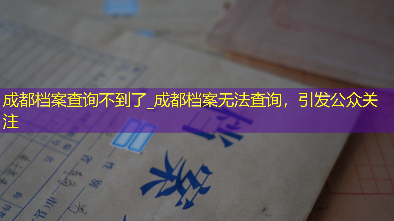 档案查询