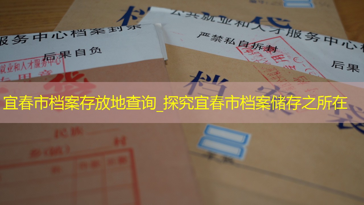 档案查询