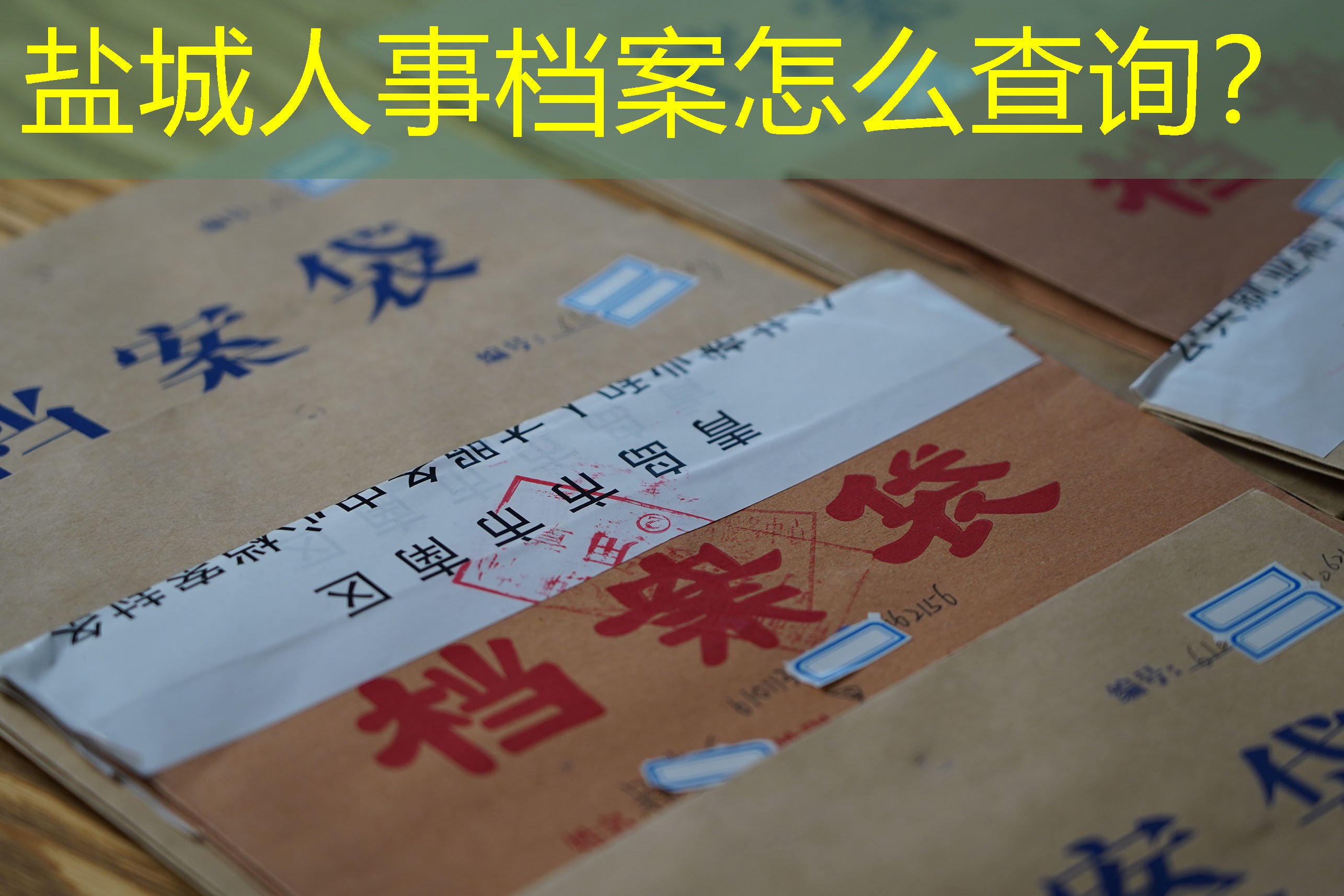 档案查询