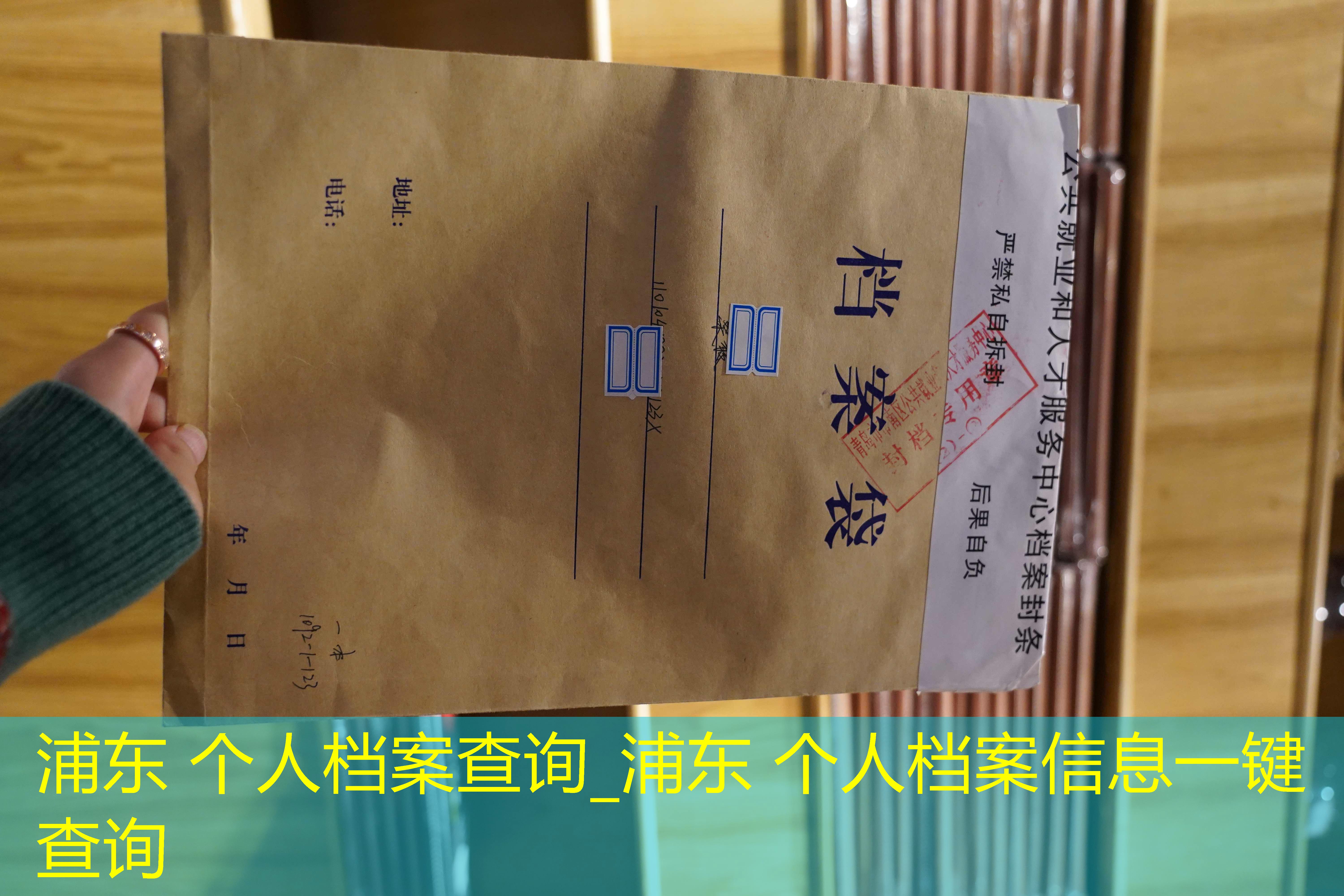 档案查询