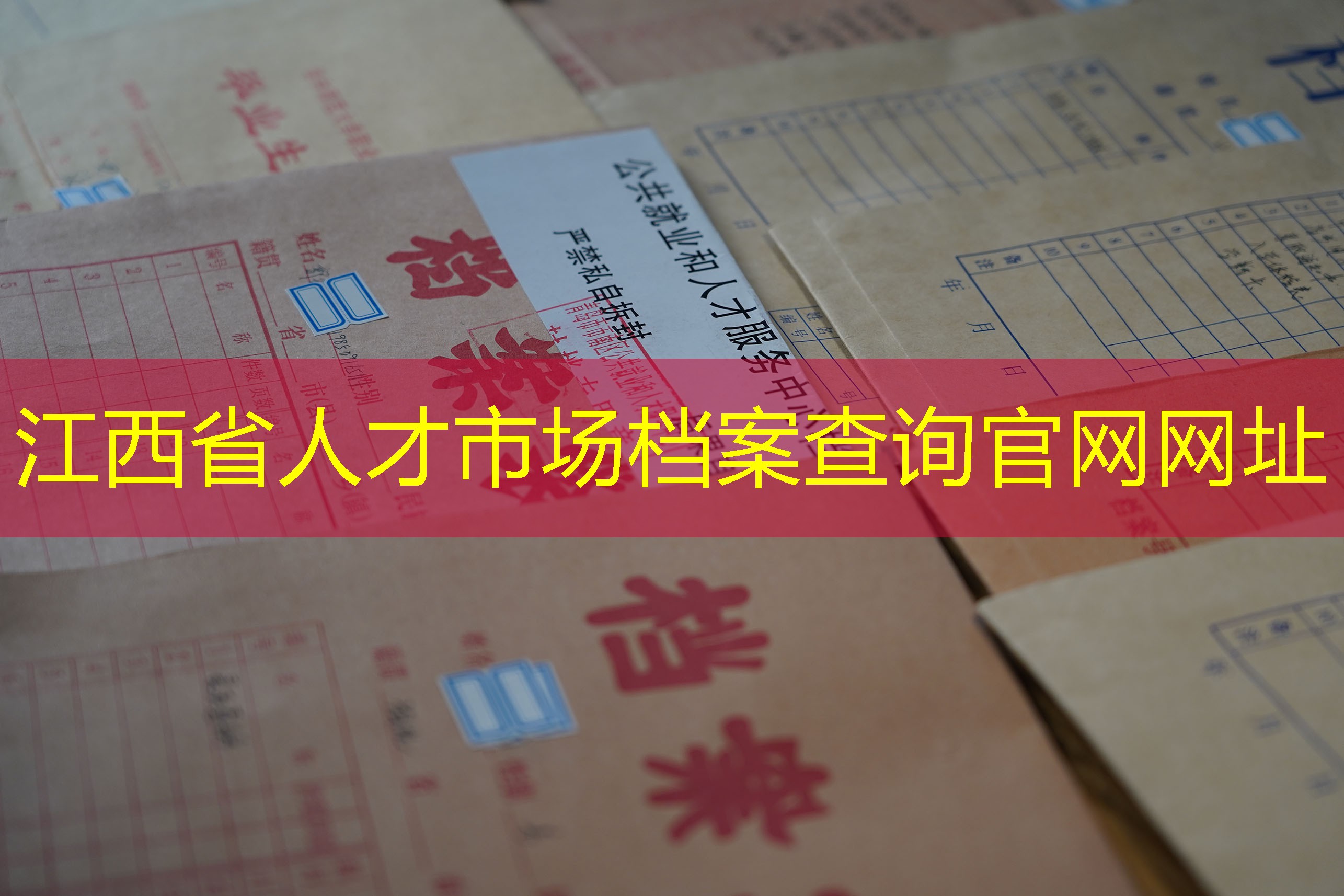 档案查询