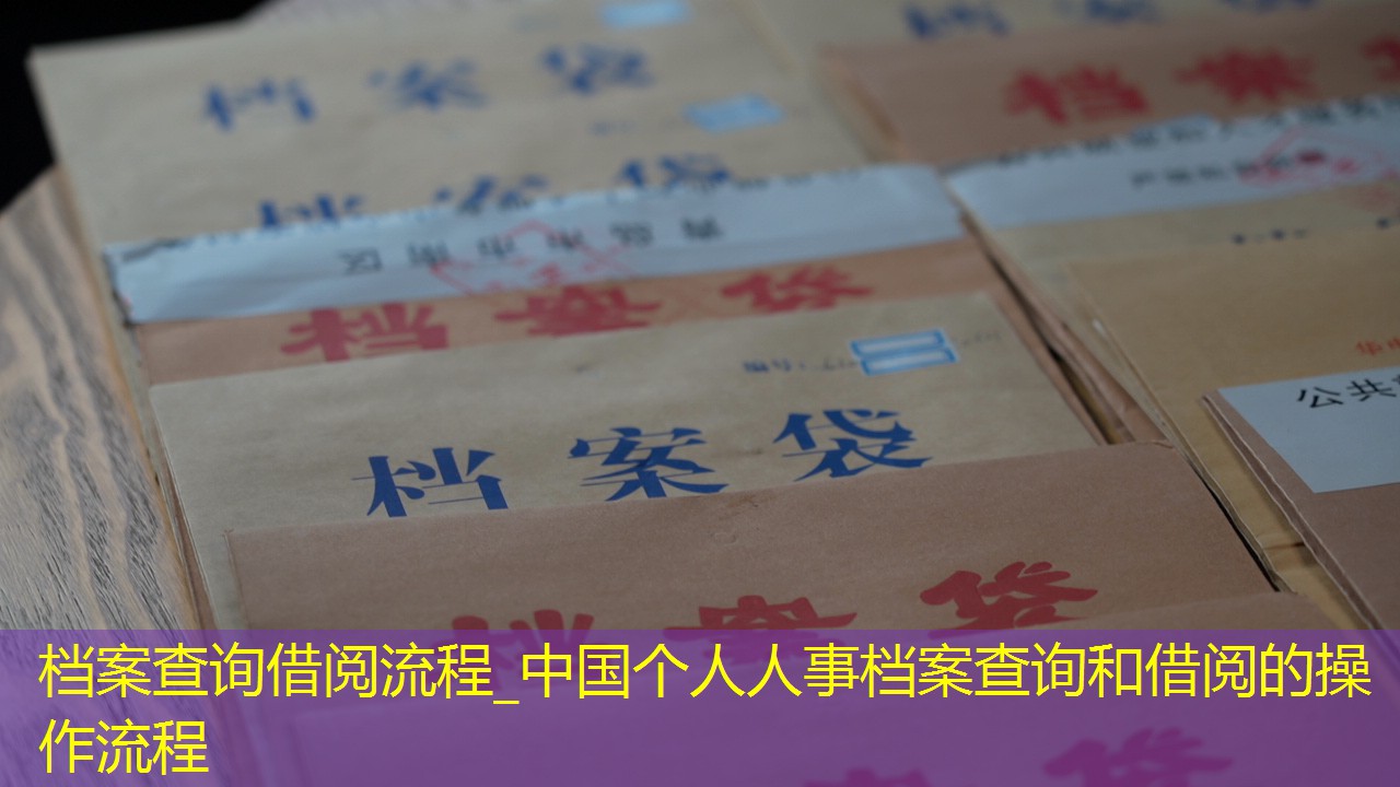 档案查询