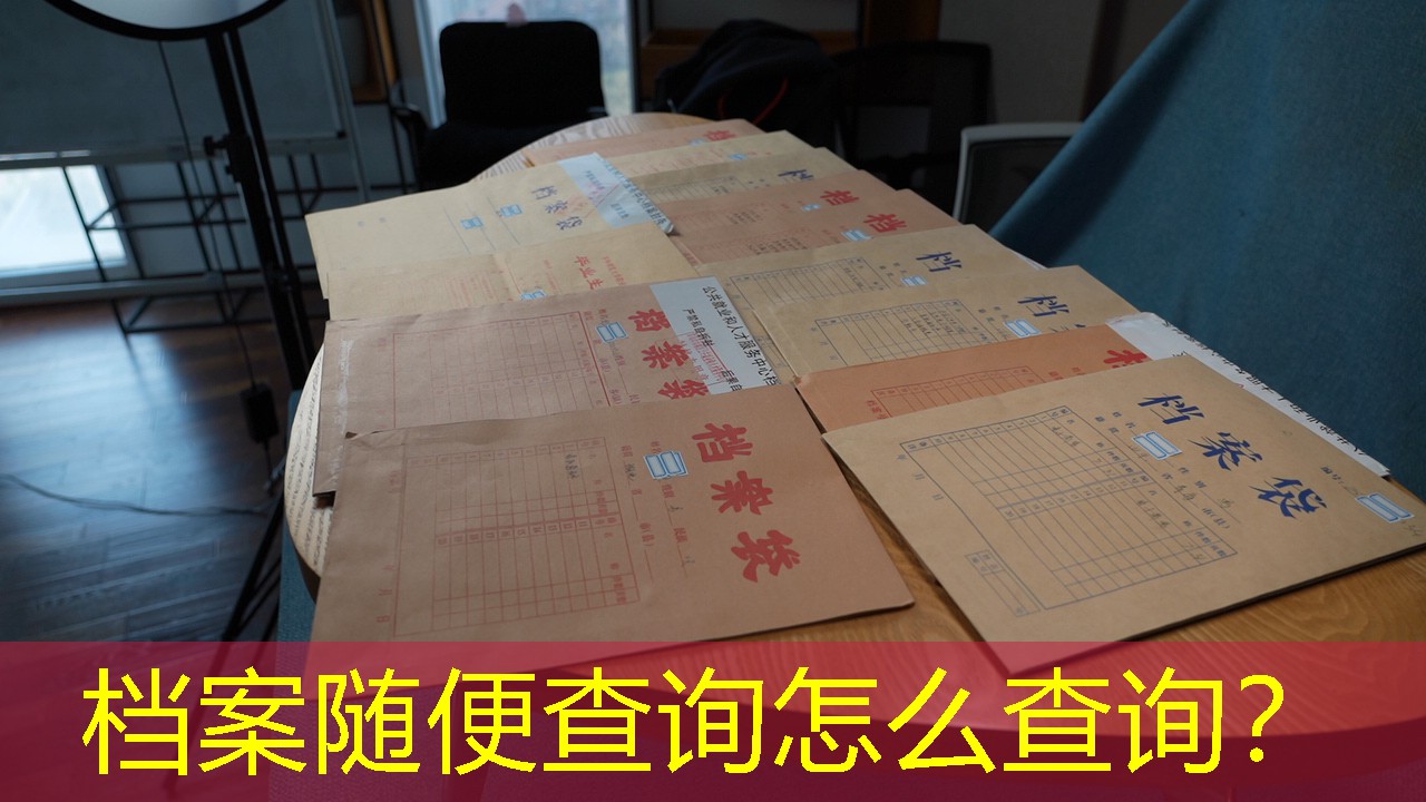 档案查询