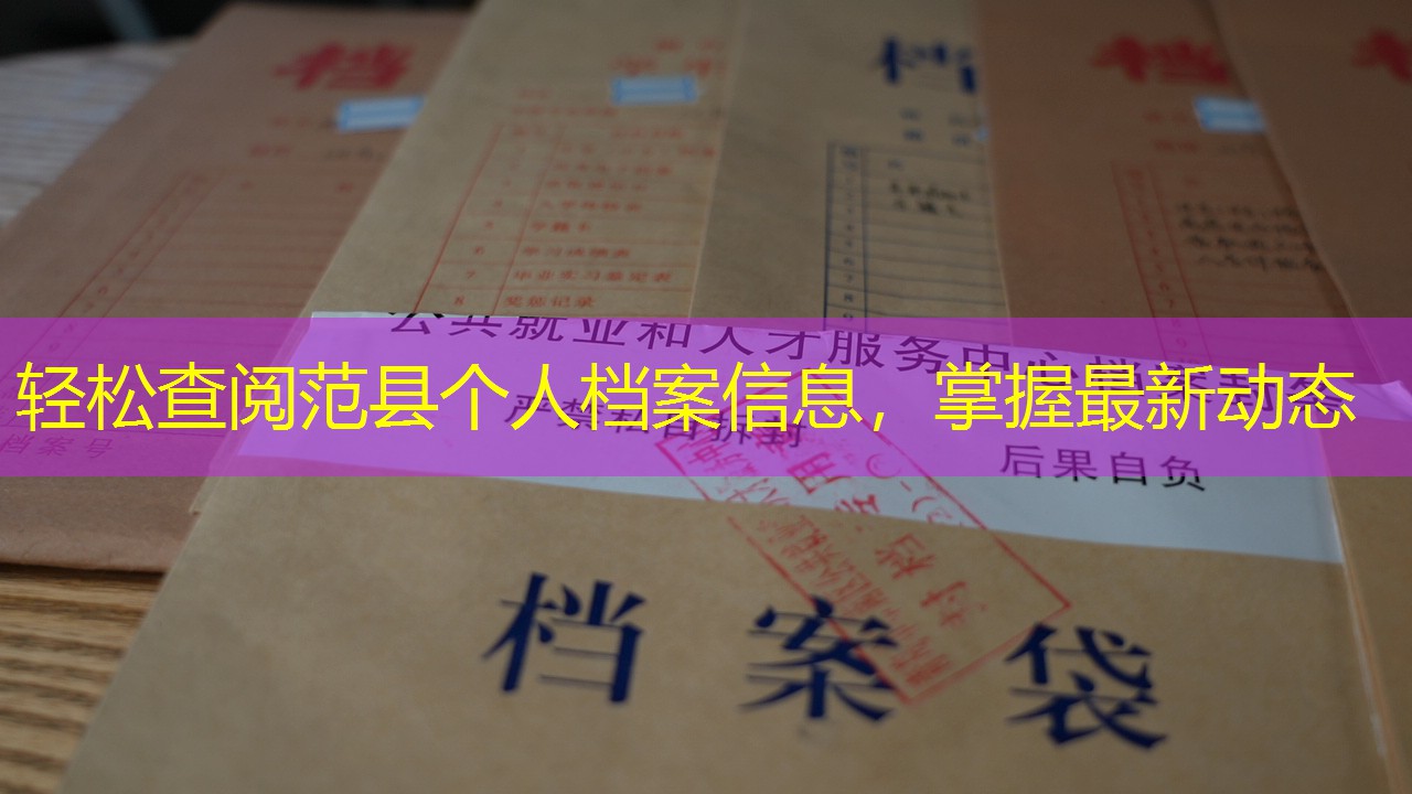 档案查询