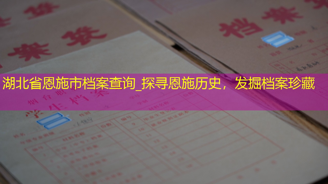 档案查询