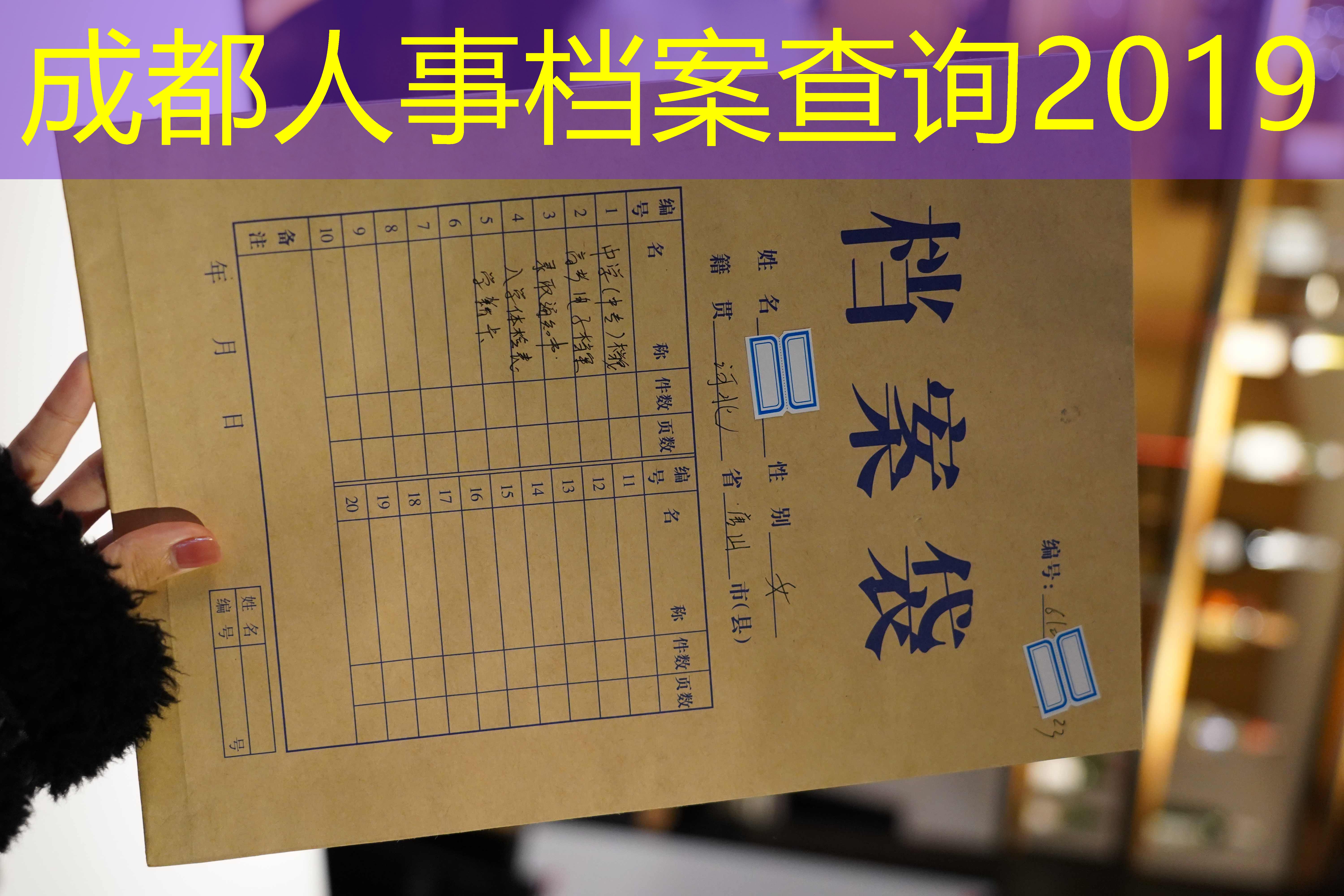 档案查询