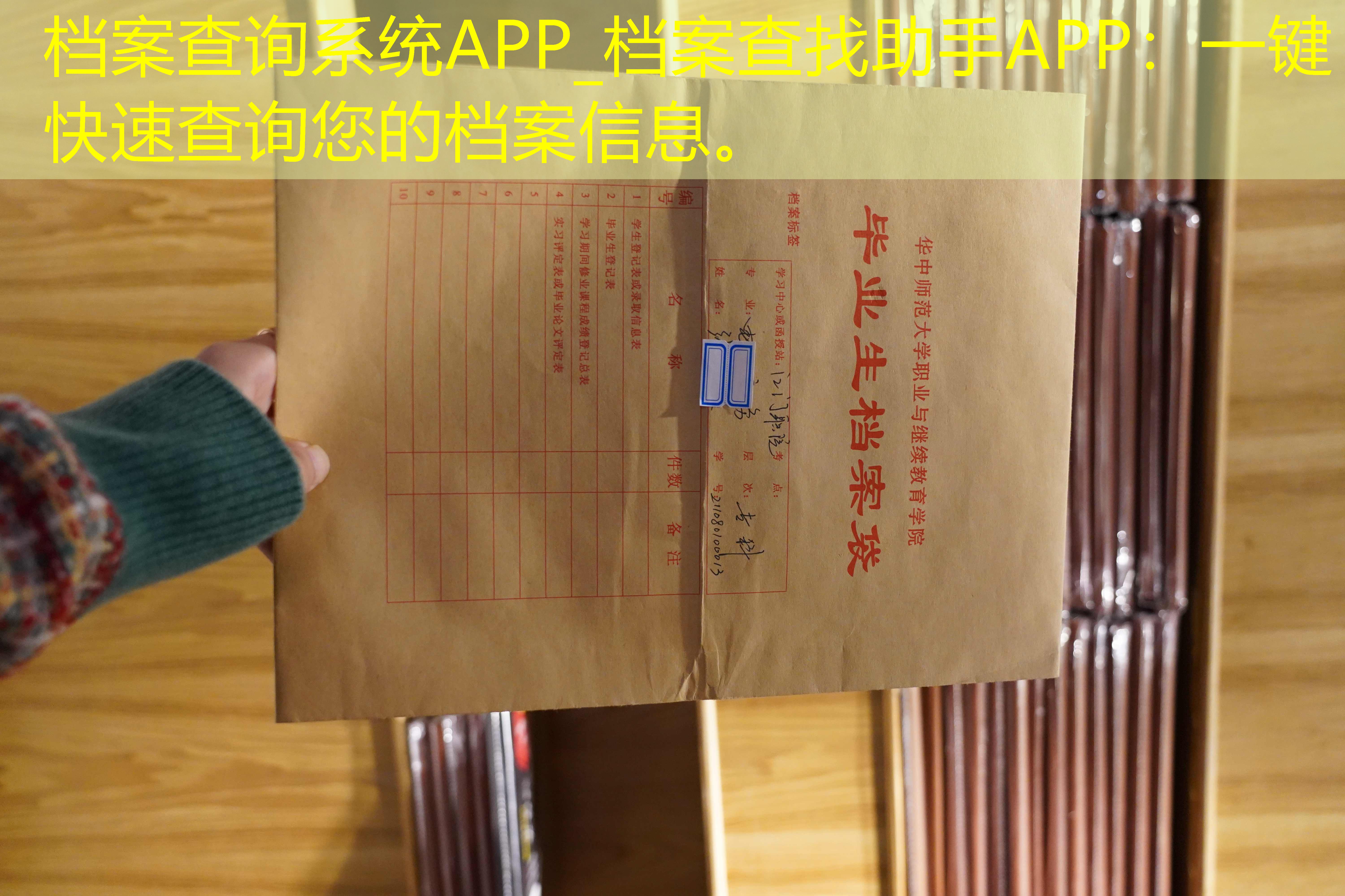 档案查询