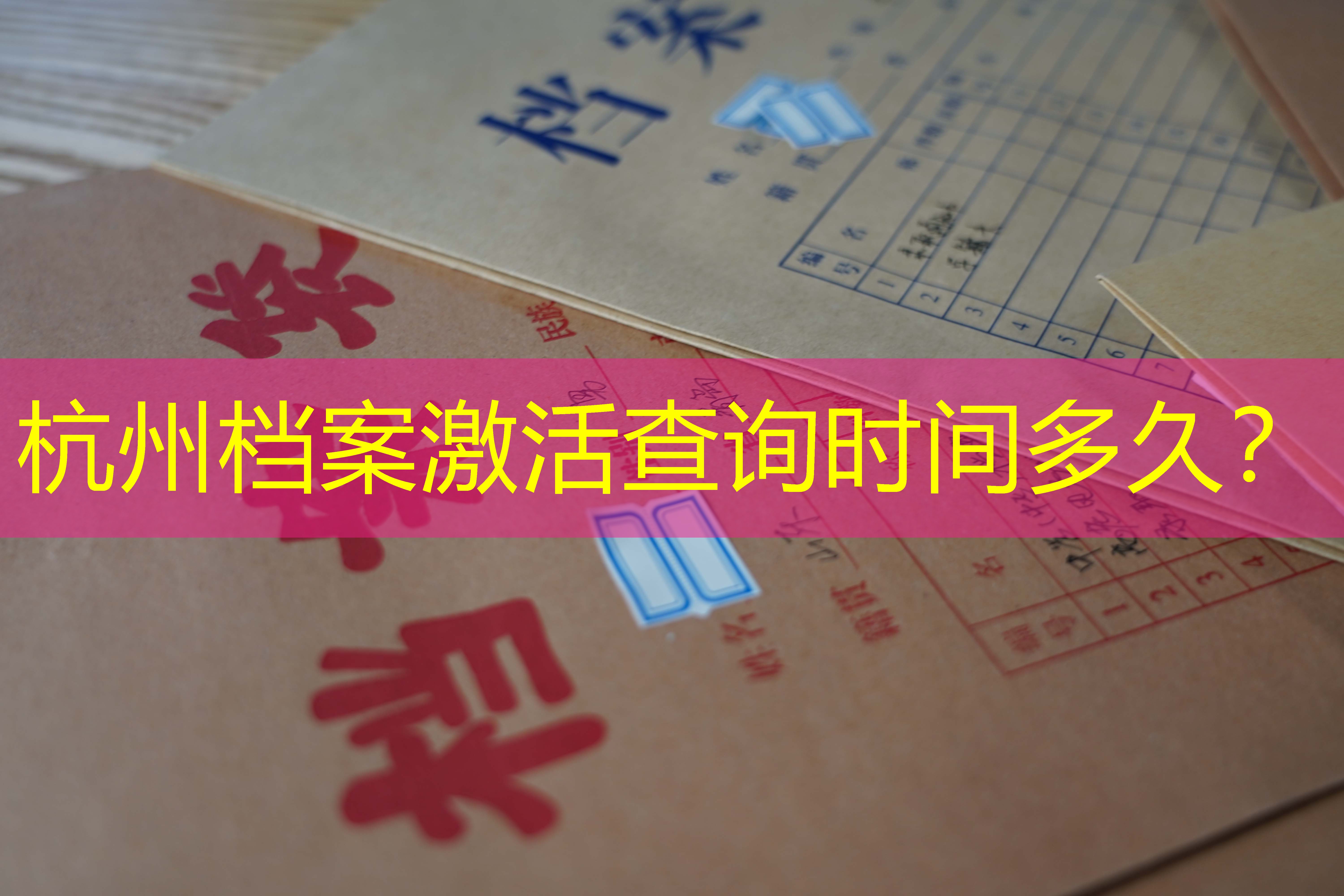档案查询