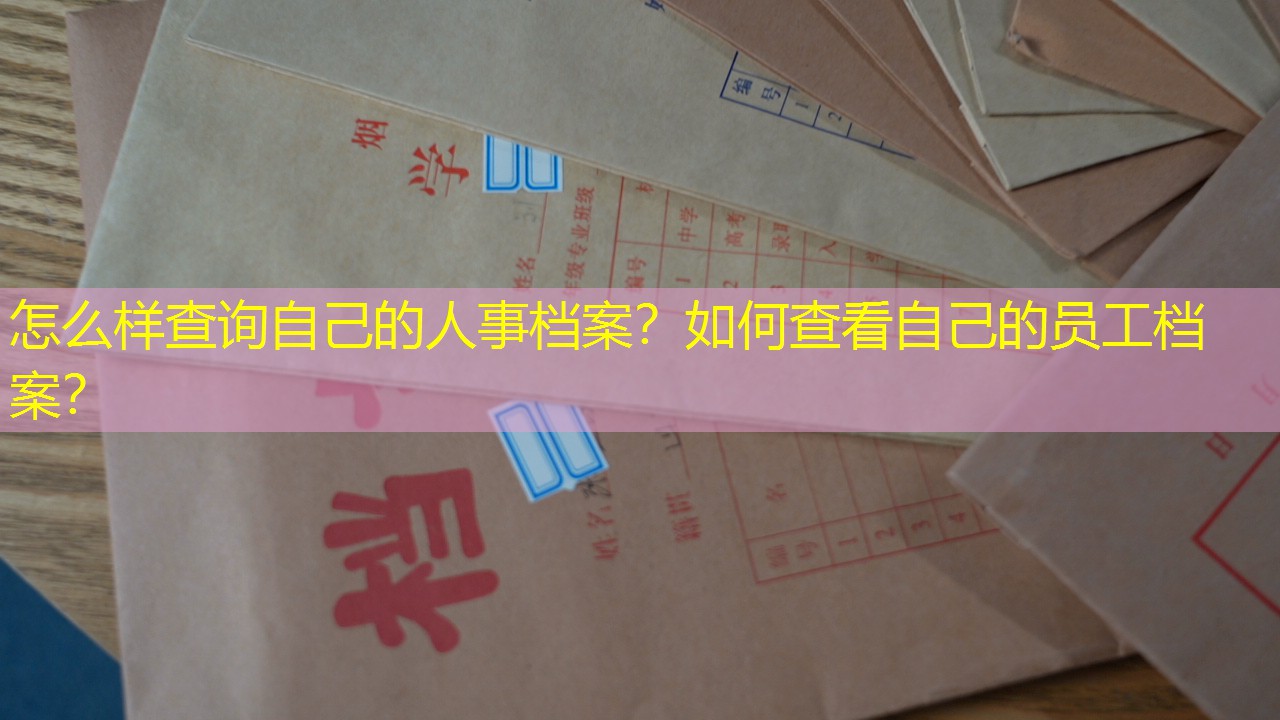 档案查询