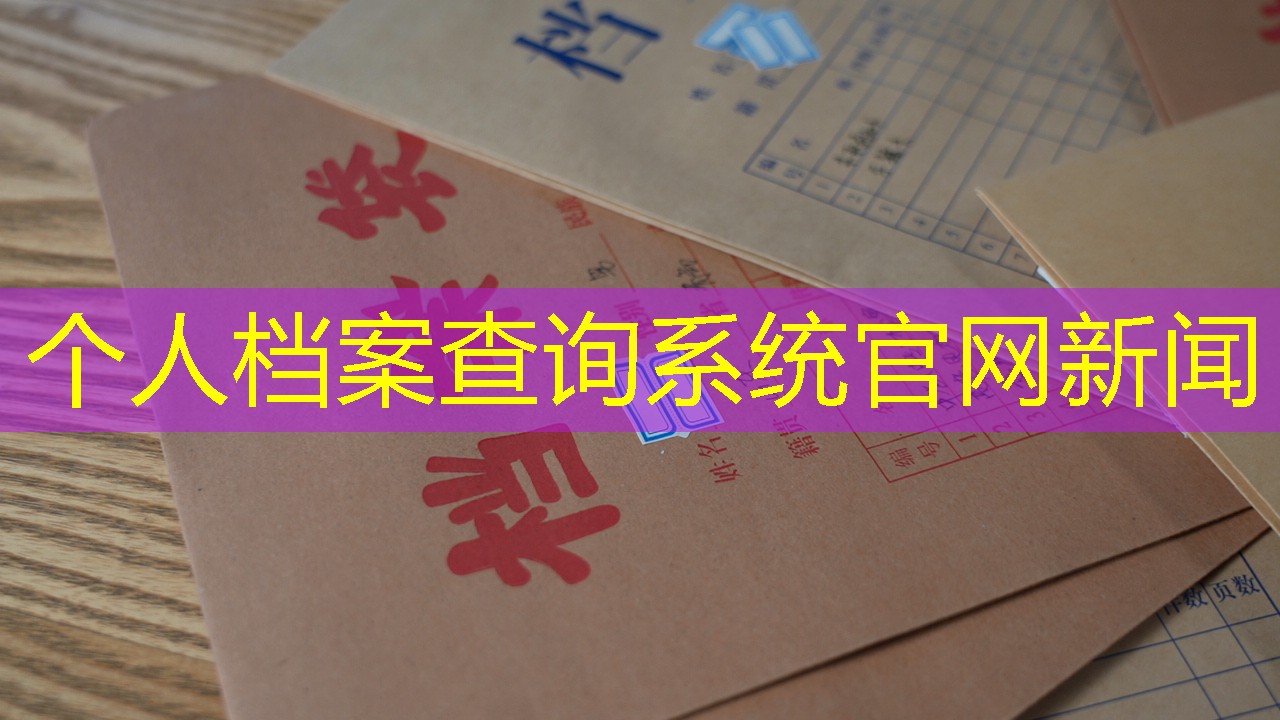 档案查询