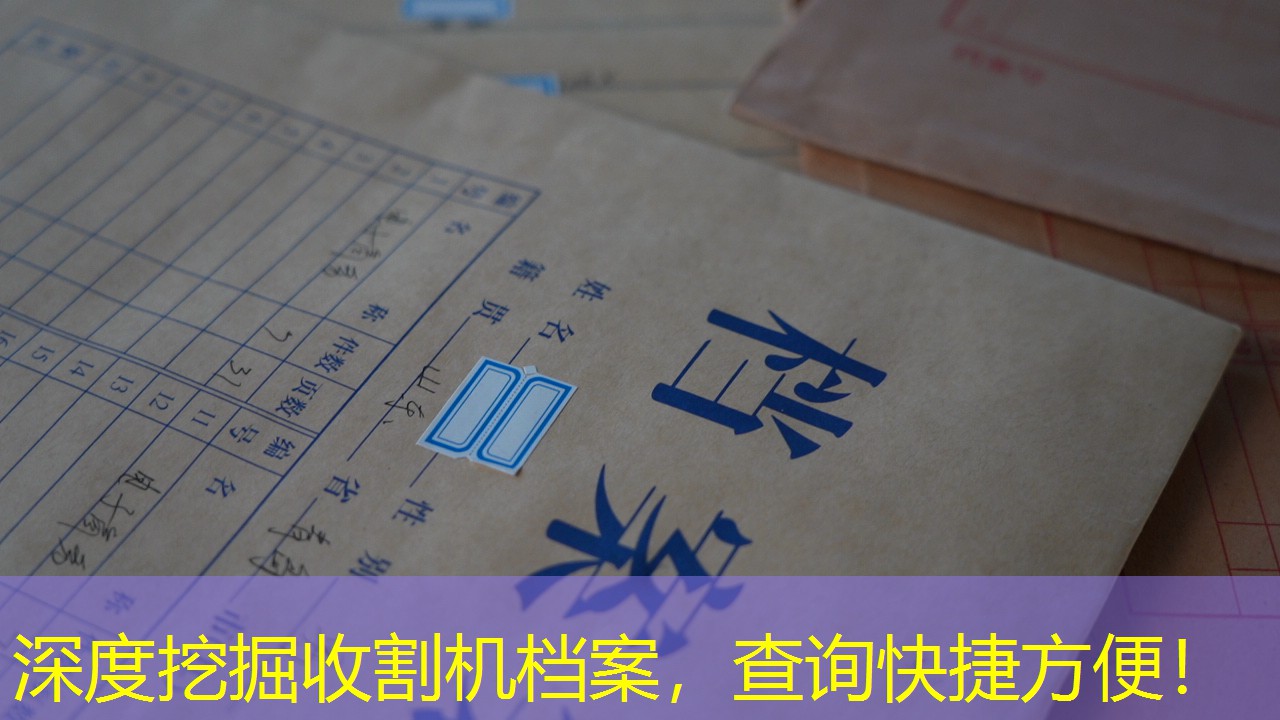 档案查询