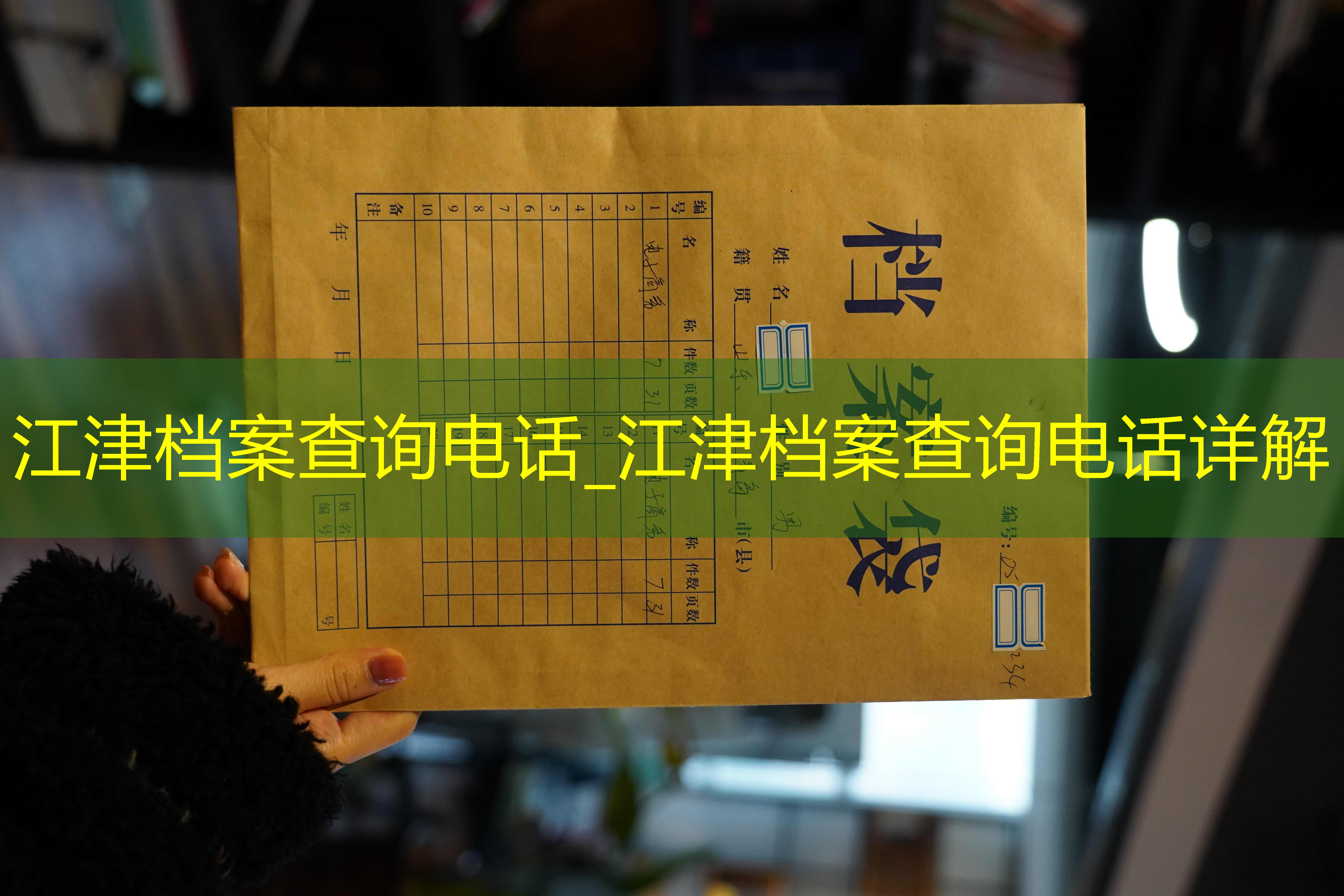 档案查询