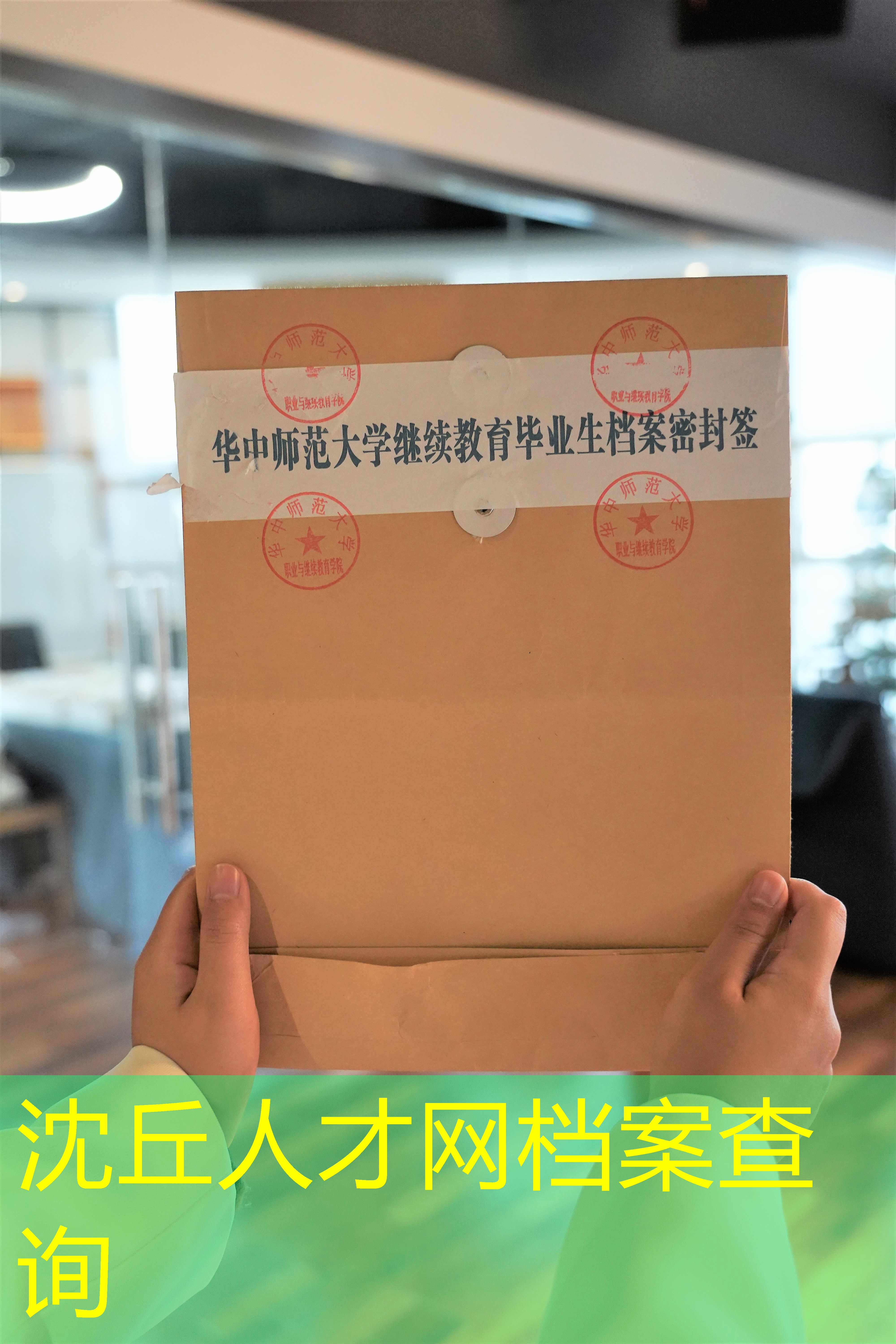档案查询