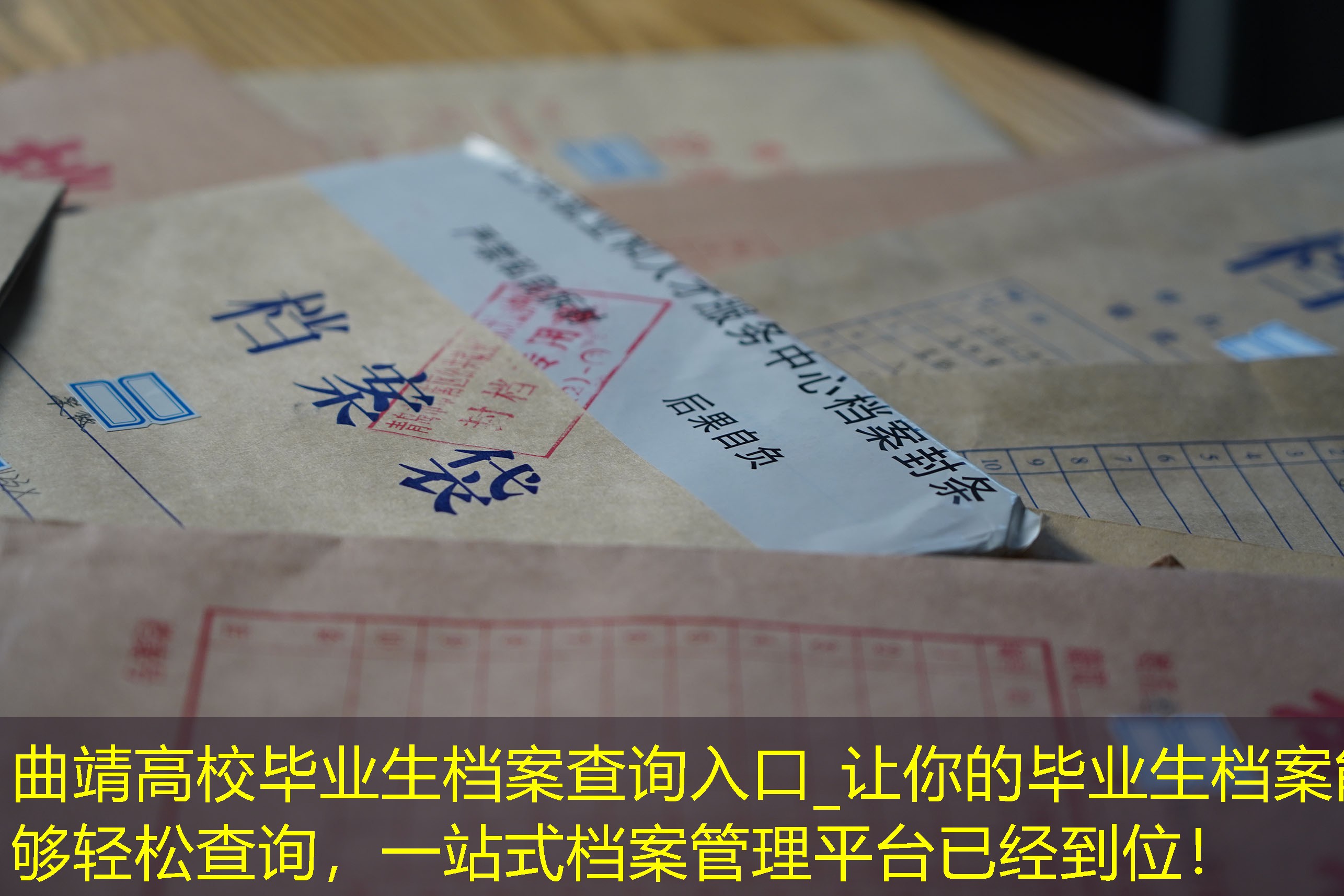 档案查询