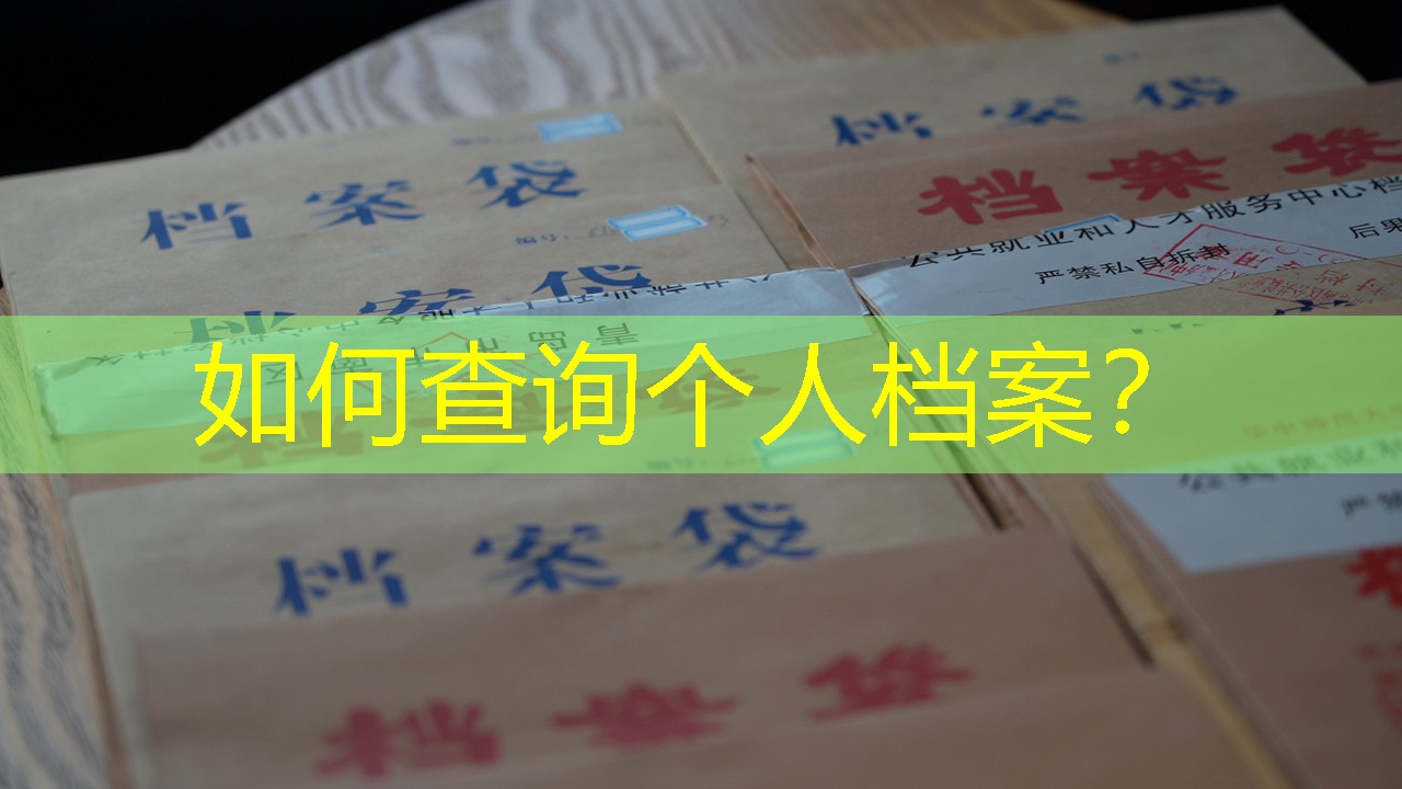 档案查询
