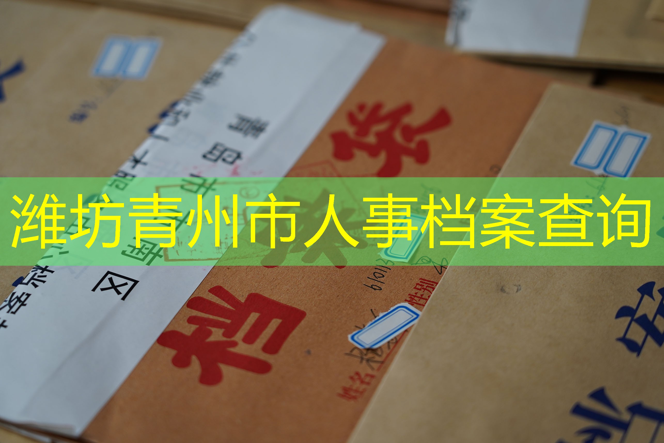 档案查询