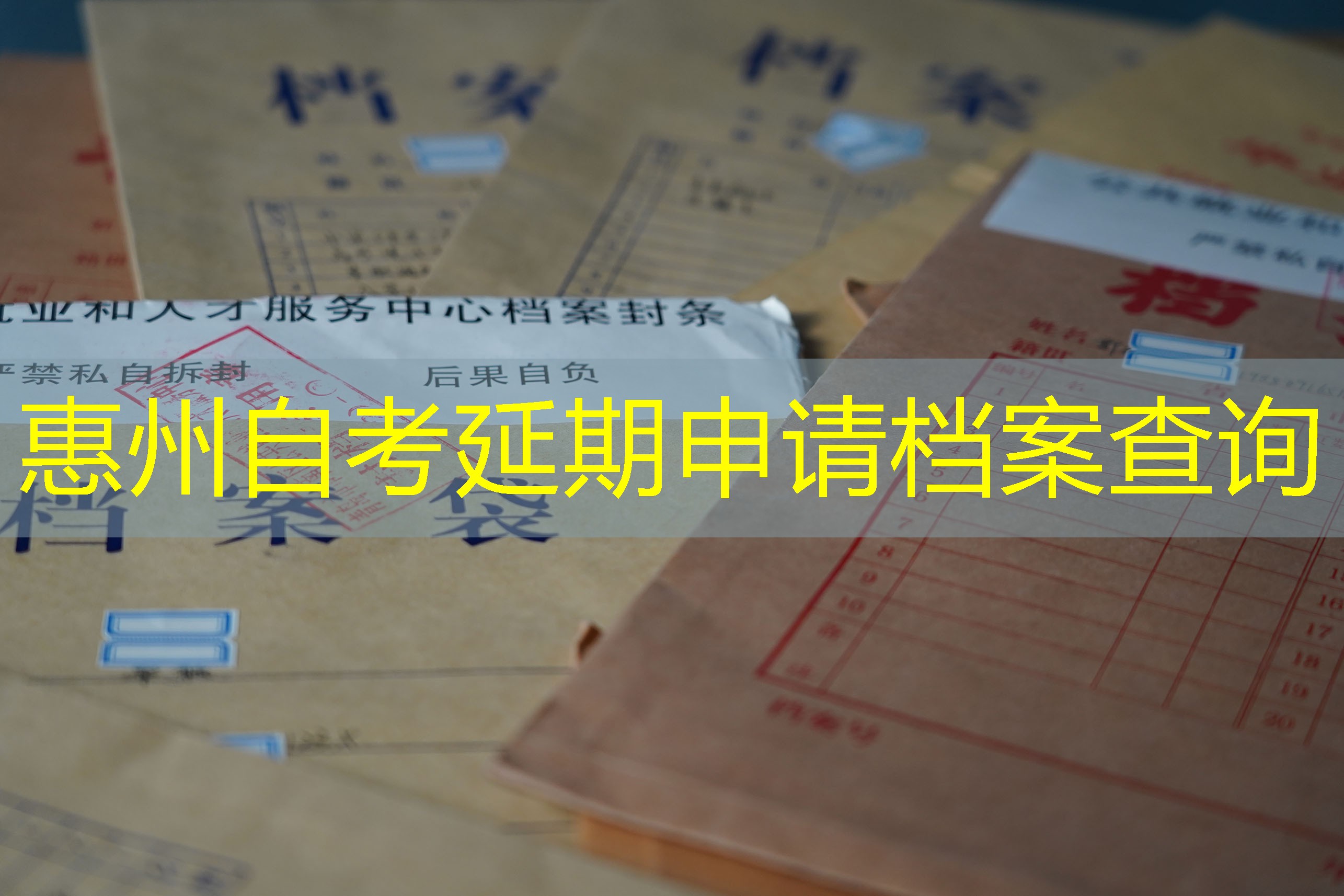 档案查询