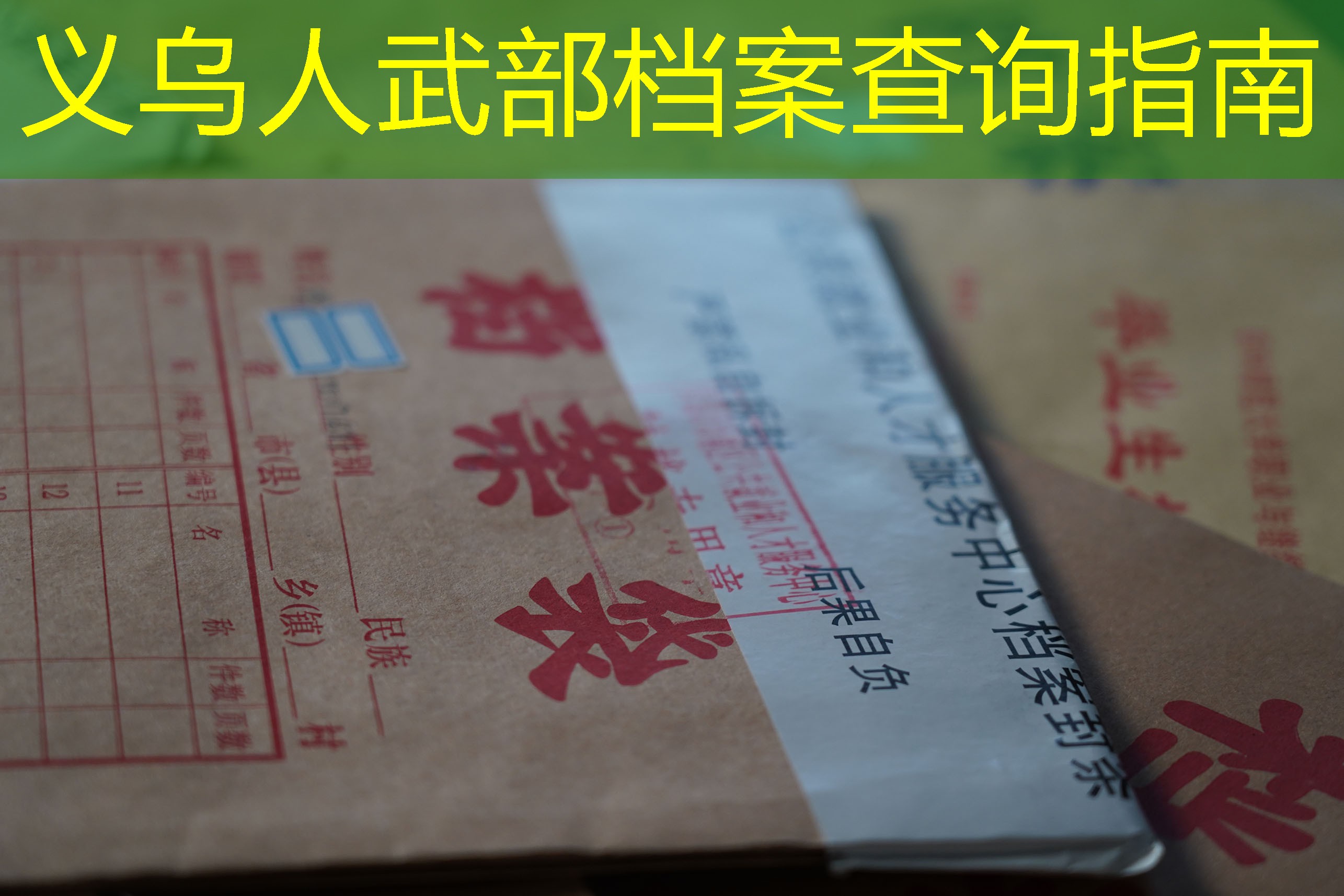 档案查询