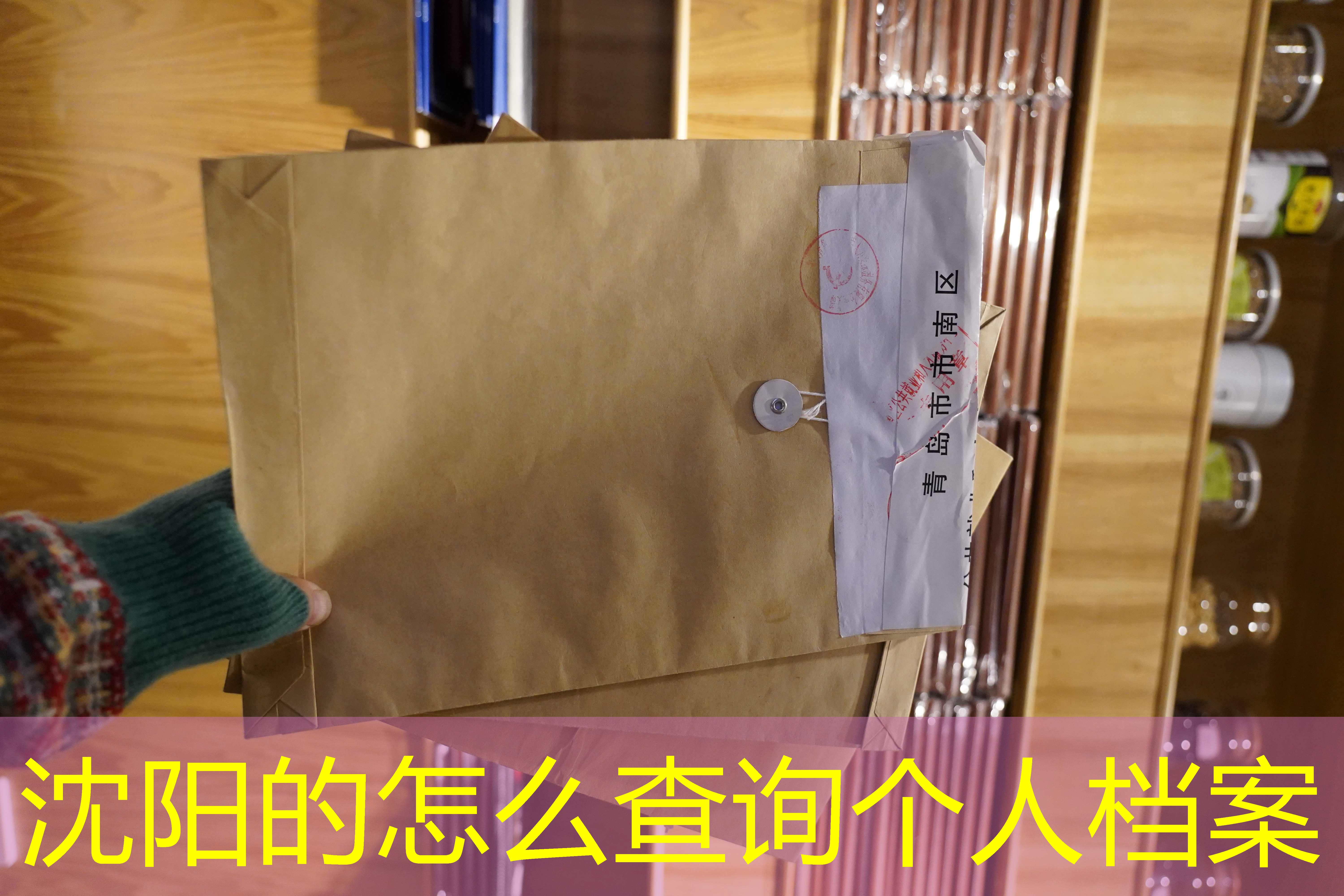 档案查询