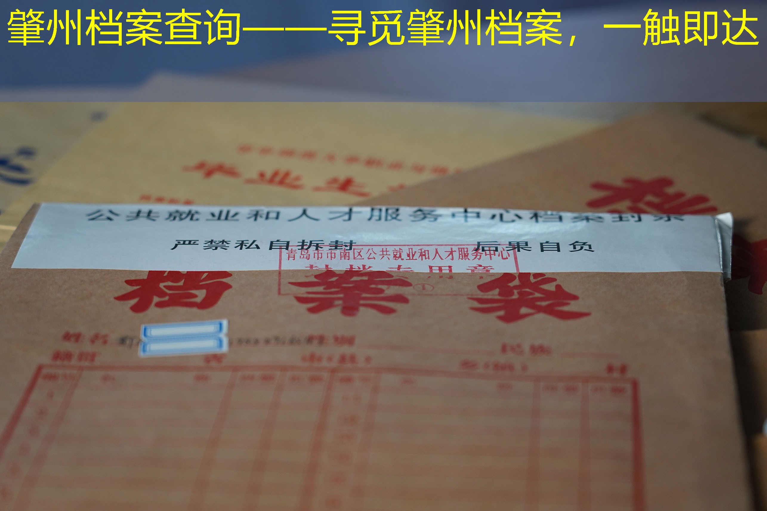 档案查询