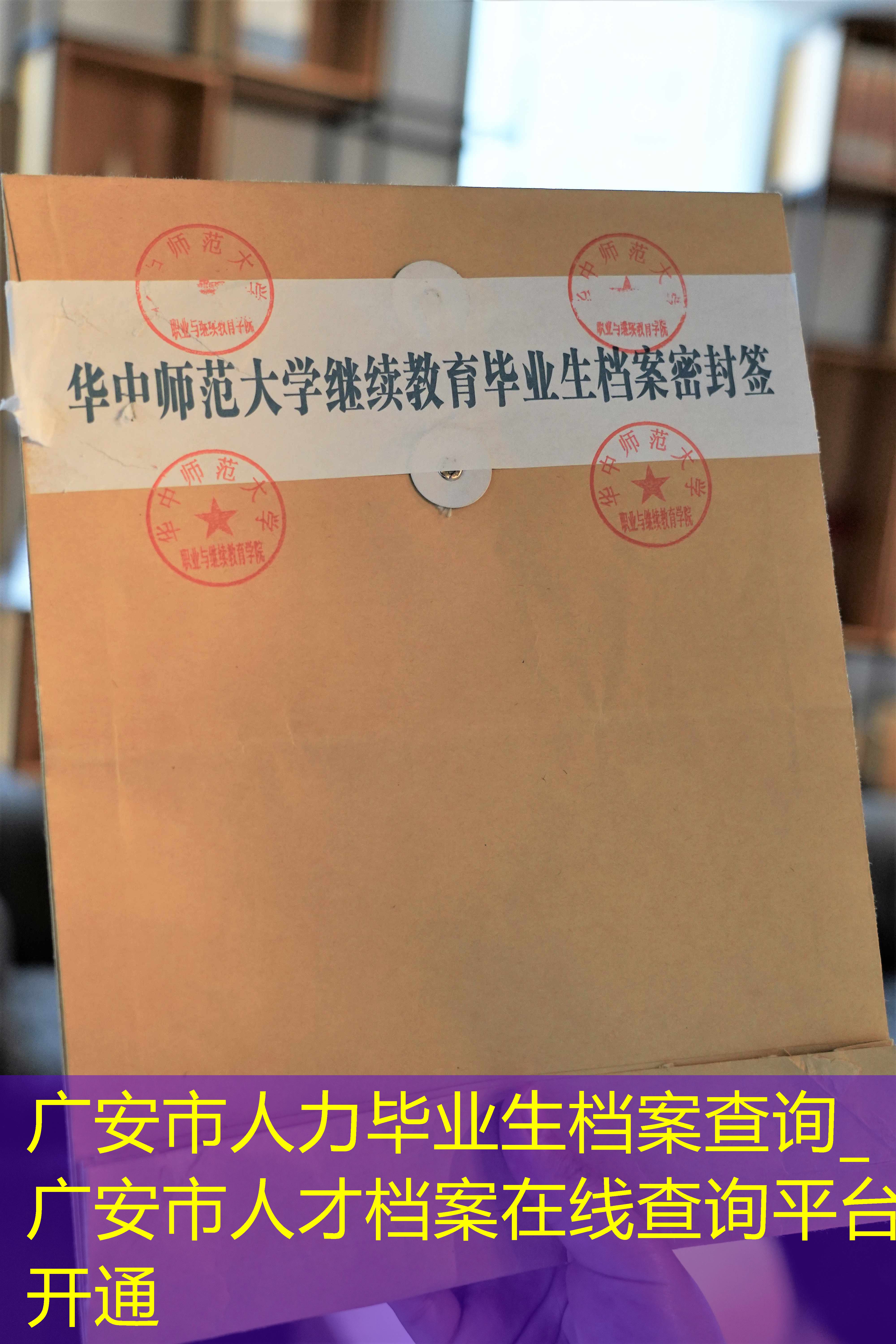 档案查询