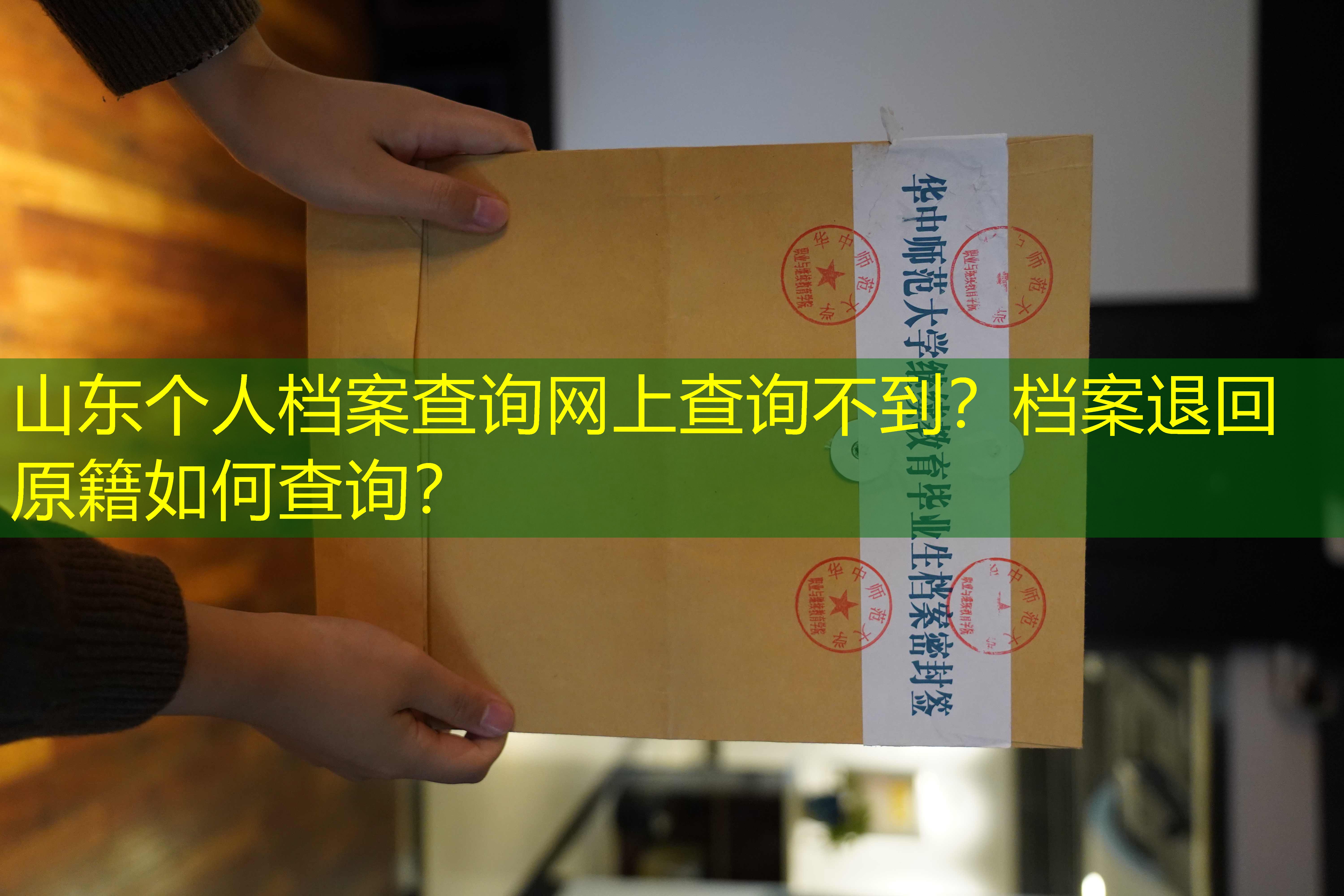 档案查询